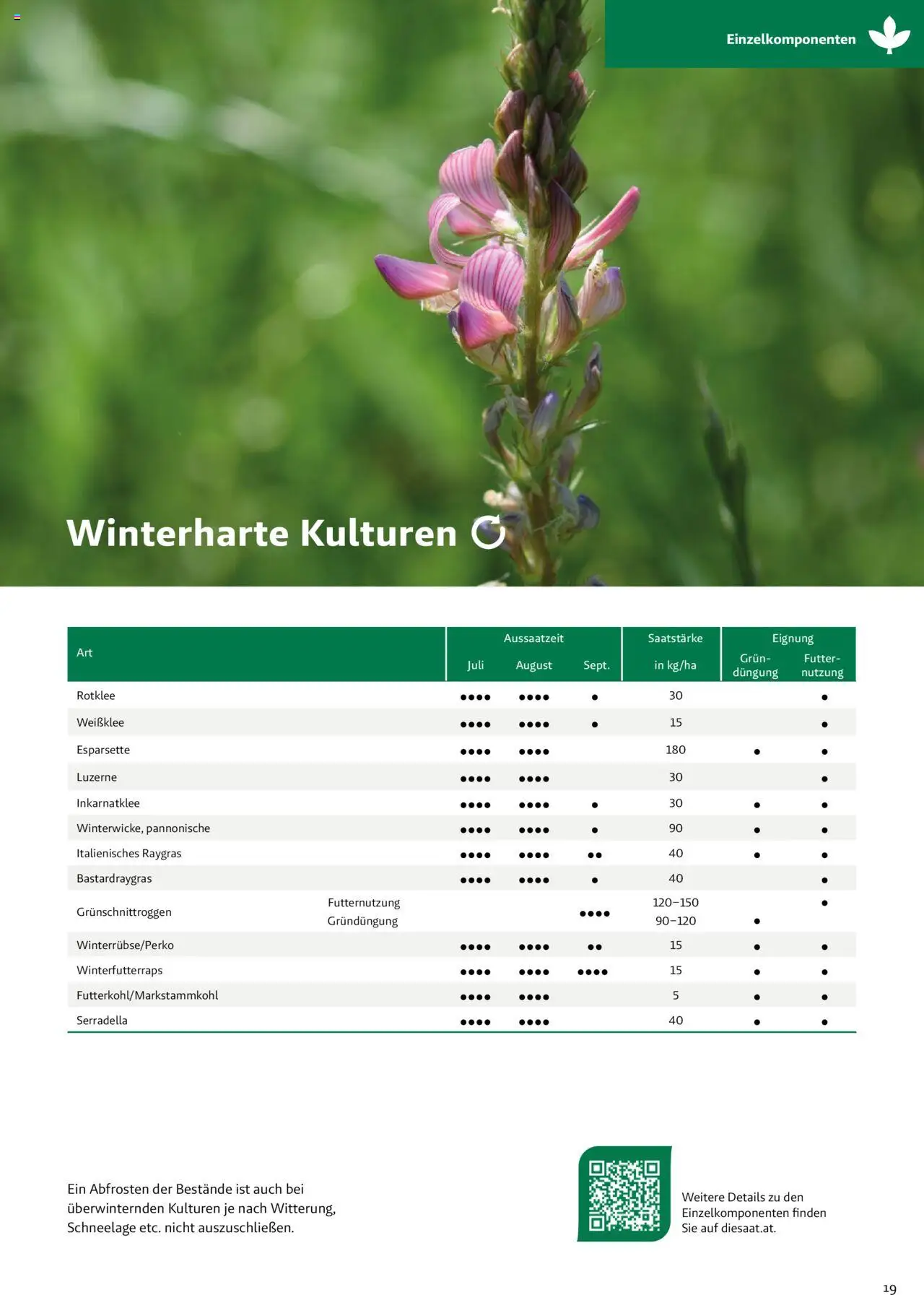 Lagerhaus Fachblatt Zwischenfrüchte & Begrünungen gültig ab 27.03.2025 | Seite: 19