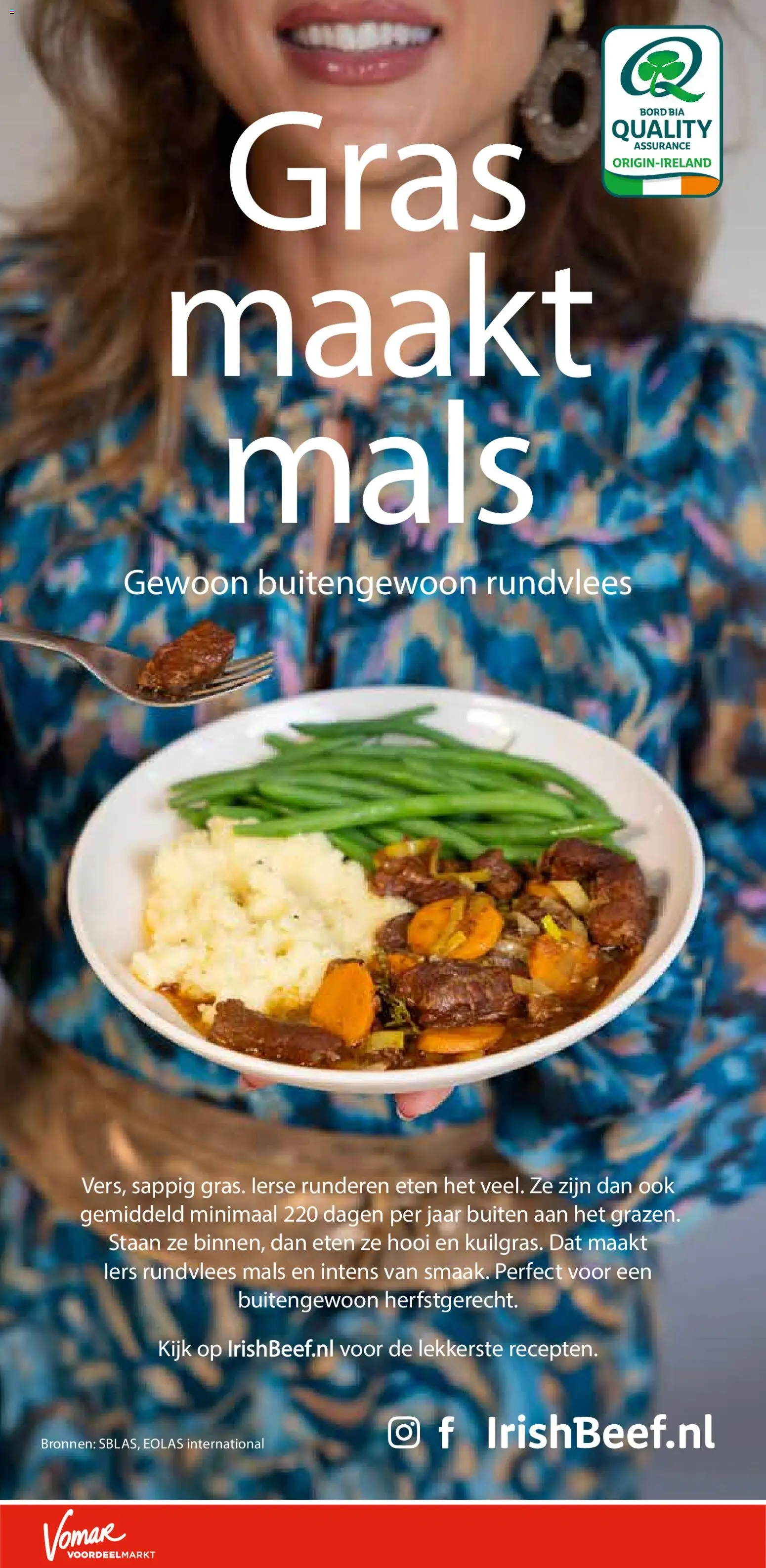 {H1} | Pagina: 29 | Producten: Bord, Rundvlees