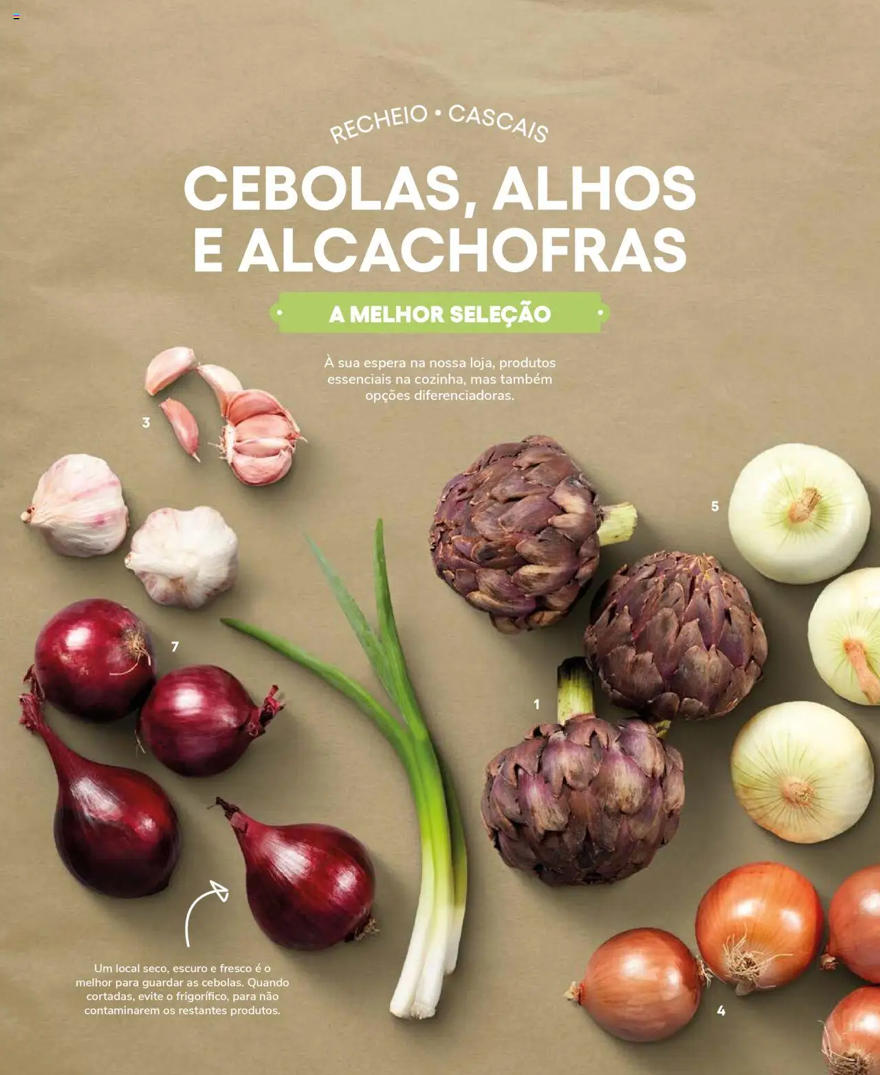 Recheio Frutas e Legumes │ válido de 19.09.2024 | Página: 20 | Produtos: Alhos, Alcachofras