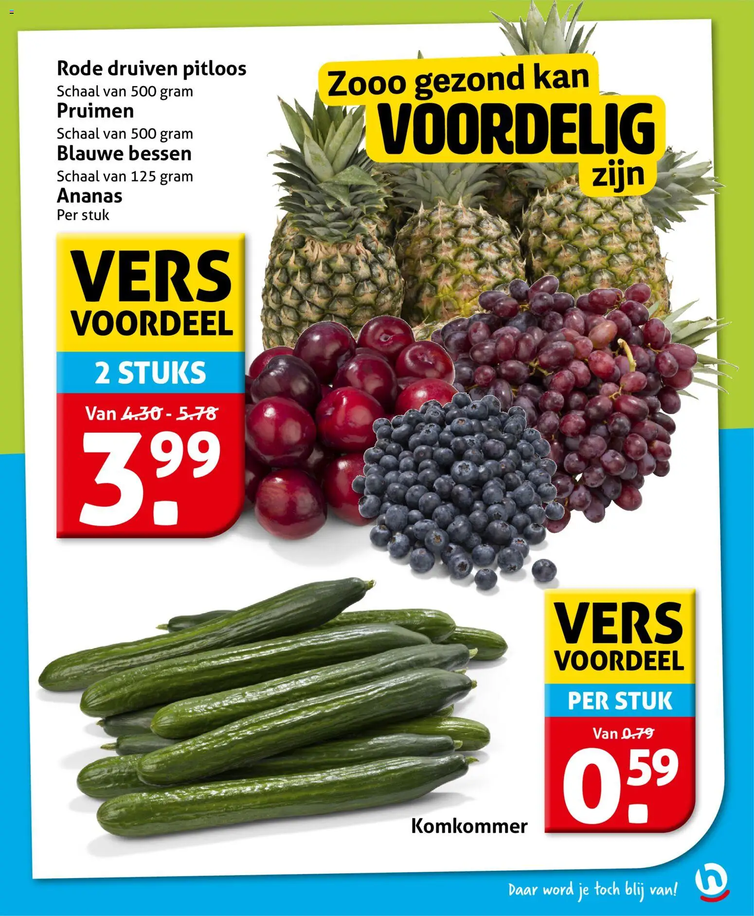 {H1} | Pagina: 9 | Producten: Komkommer, Ananas, Kan, Schaal