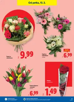 Lidl katalog akcije – veljaven od 12.02.2026 | Stran: 19 | Izdelki: Šopek