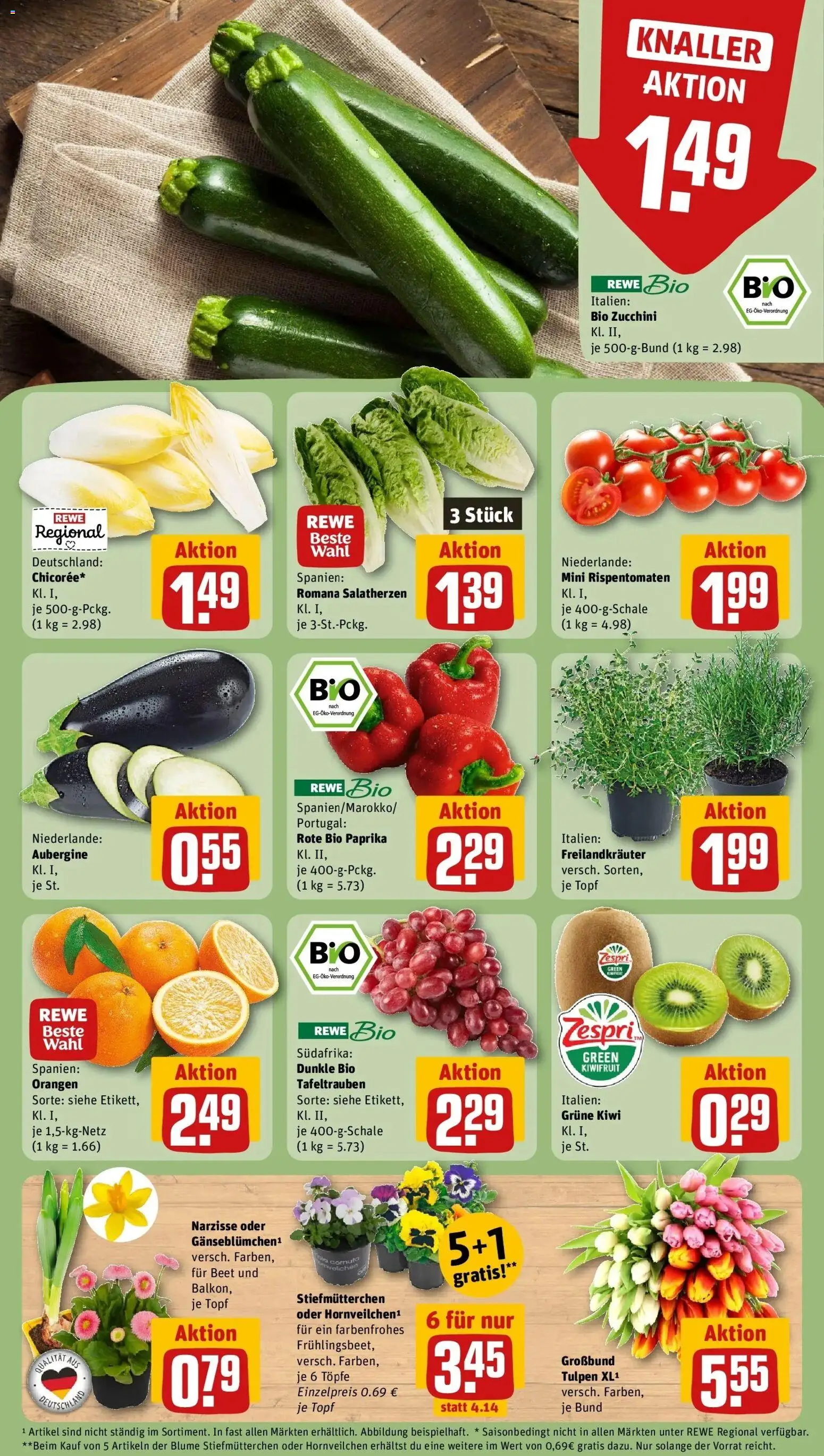 Rewe Prospekt Berlin / Charlottenburg	 – gültig ab 15.03.2026 | Seite: 9 | Produkte: Stiefmutterchen, Aubergine, Zucchini, Kiwi