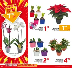 Trafic - Folder - Voorbeeld van een folder van Trafic, geldig van 19.11.2025 | Pagina: 18 | Producten: Guitare acoustique, Pot