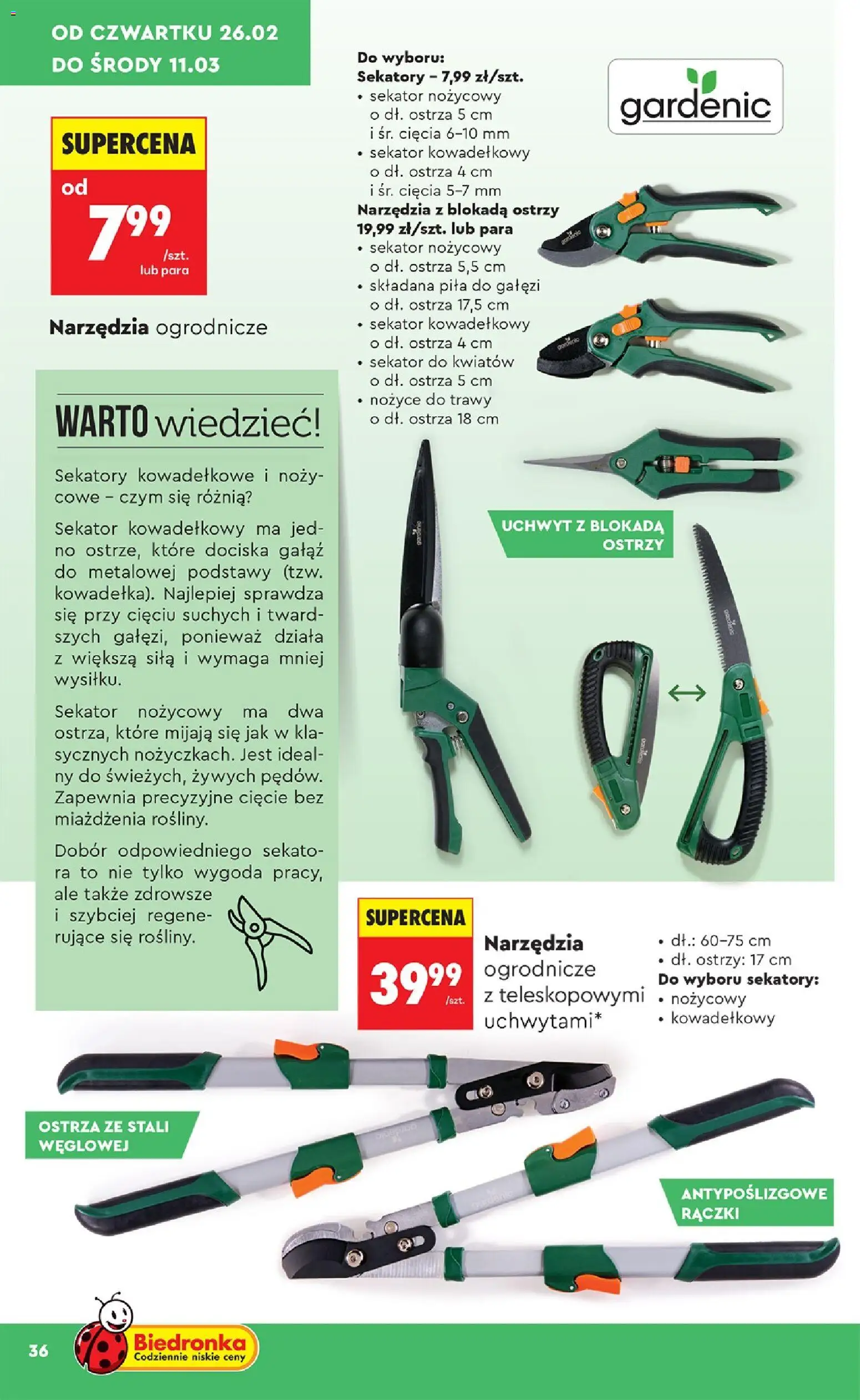 Biedronka Polsko leták - Hity i inspiracje od 21.02.2026 | Strana: 36 | Produkty: Pila