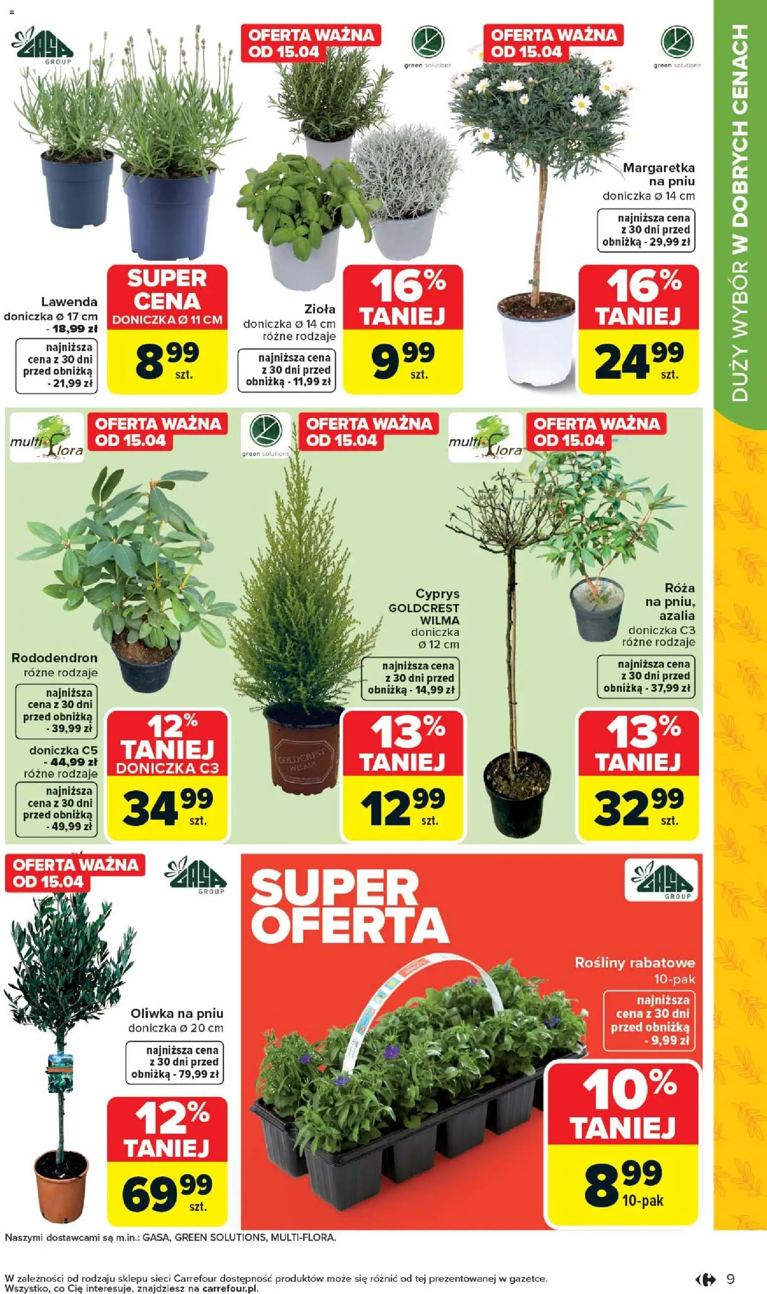 Carrefour gazetka - Łap super okazje od 13.04.2026 | Strona: 9 | Produkty: Azalia, Doniczka, Rosliny