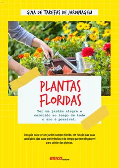 Pré-visualização BricoMarché Plantas Floridas válido de 17.01.2024
