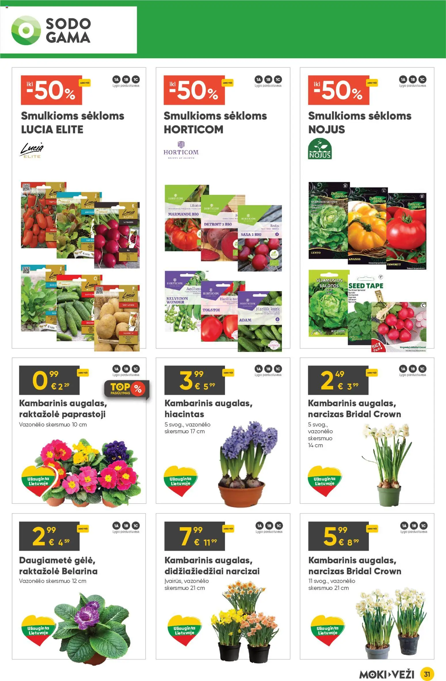 MOKI VEŽI akcijos nuo 05.03.2026 | Puslapis: 31 | Prekių: Salotos