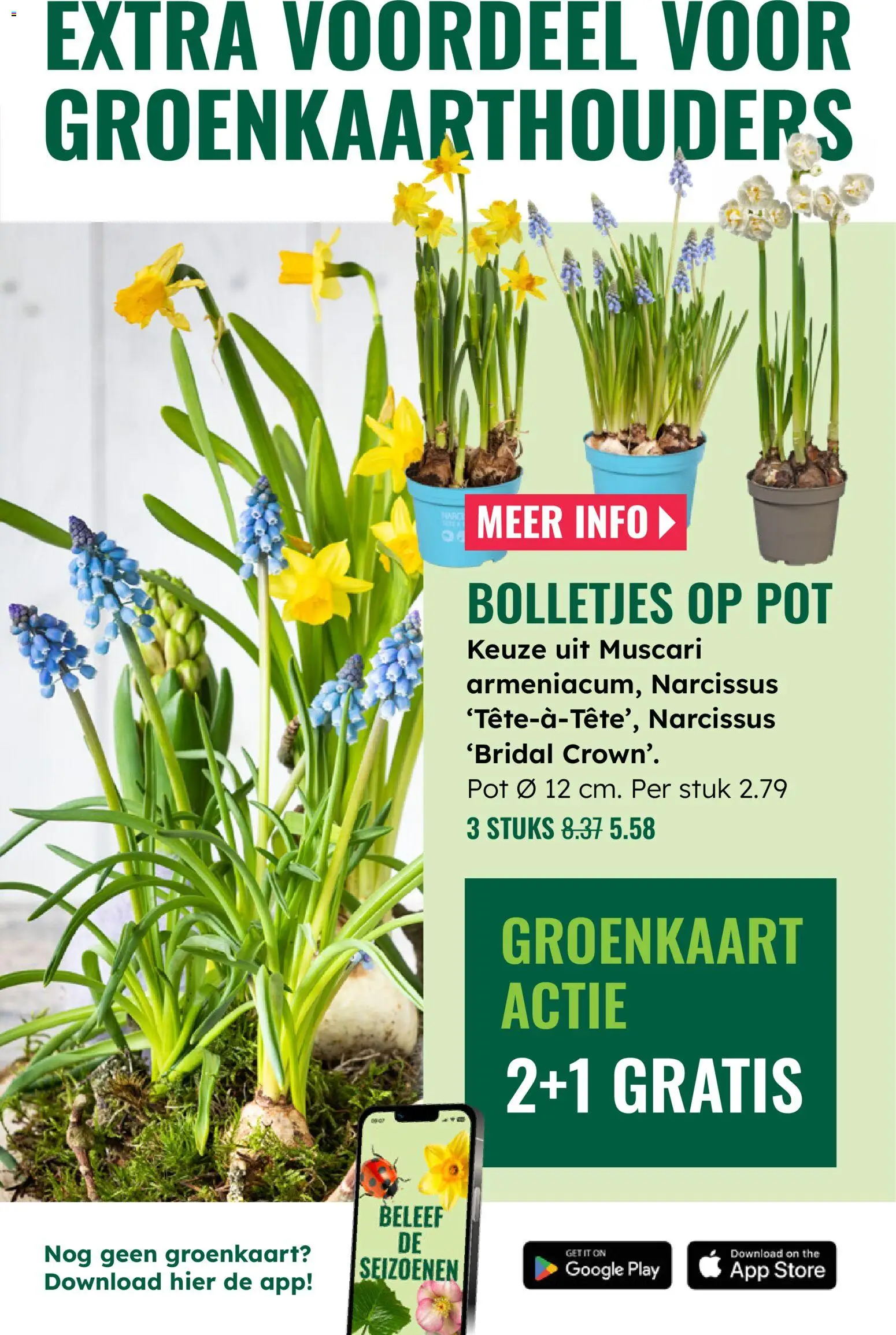 {H1} | Pagina: 3 | Producten: Pot, Bolletjes