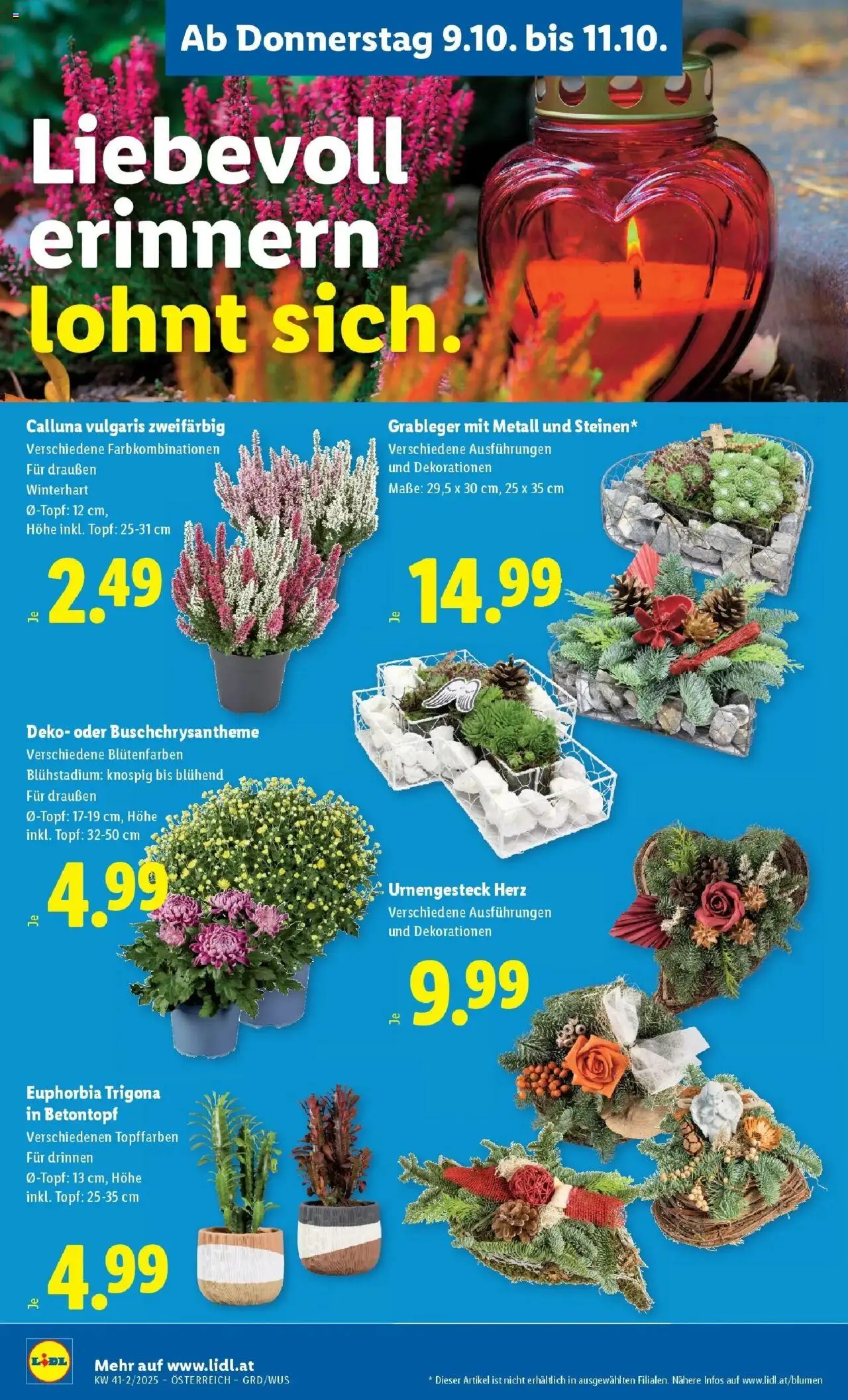 Lidl - Wien, Langenzersdorf, Zwettl gültig ab 09.10.2025 | Seite: 28