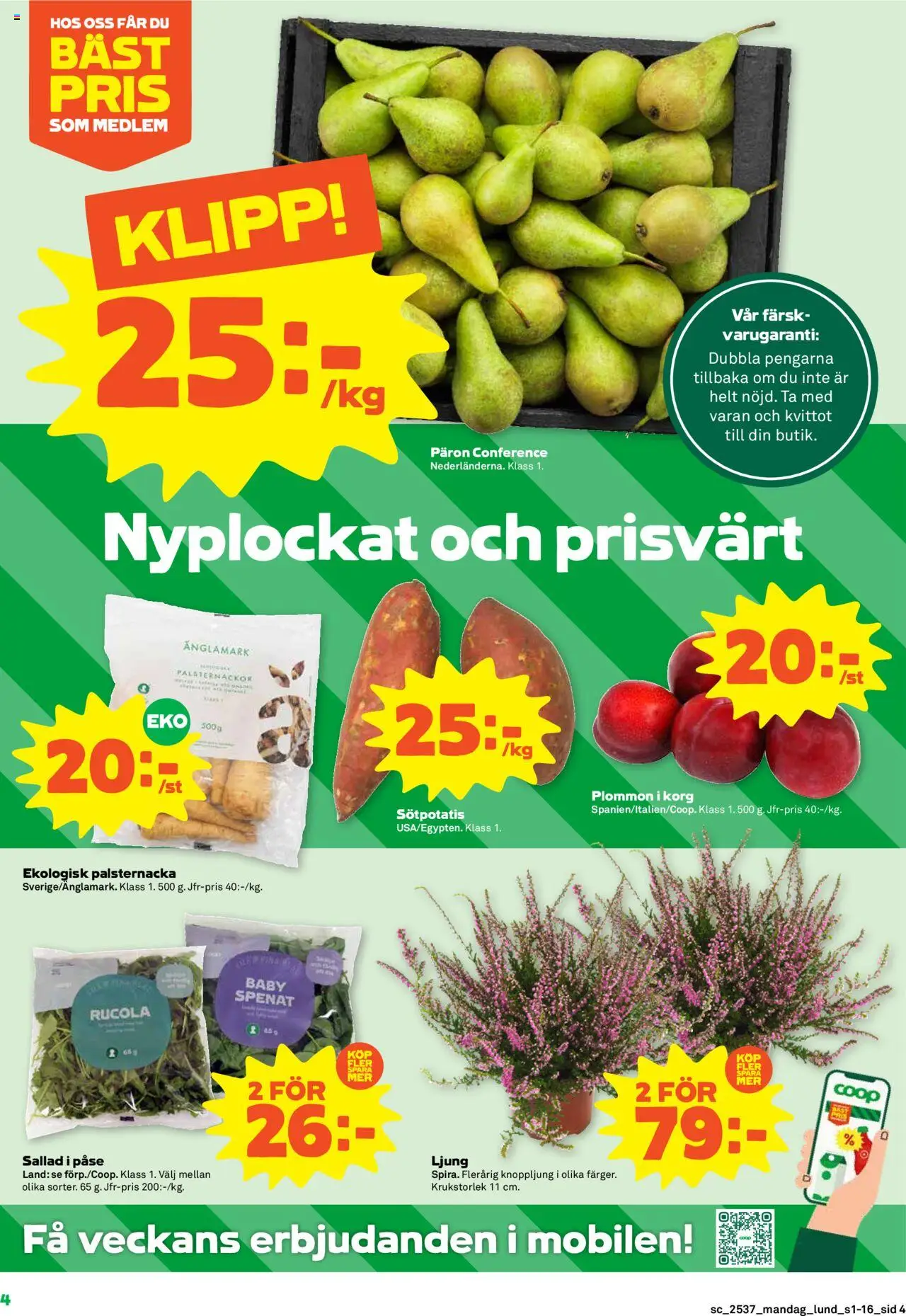 Stora Coop reklamblad aktuell från 08.09.2025 | Sida: 4 | Produkter: Korg, Spenat, Plommon, Sötpotatis
