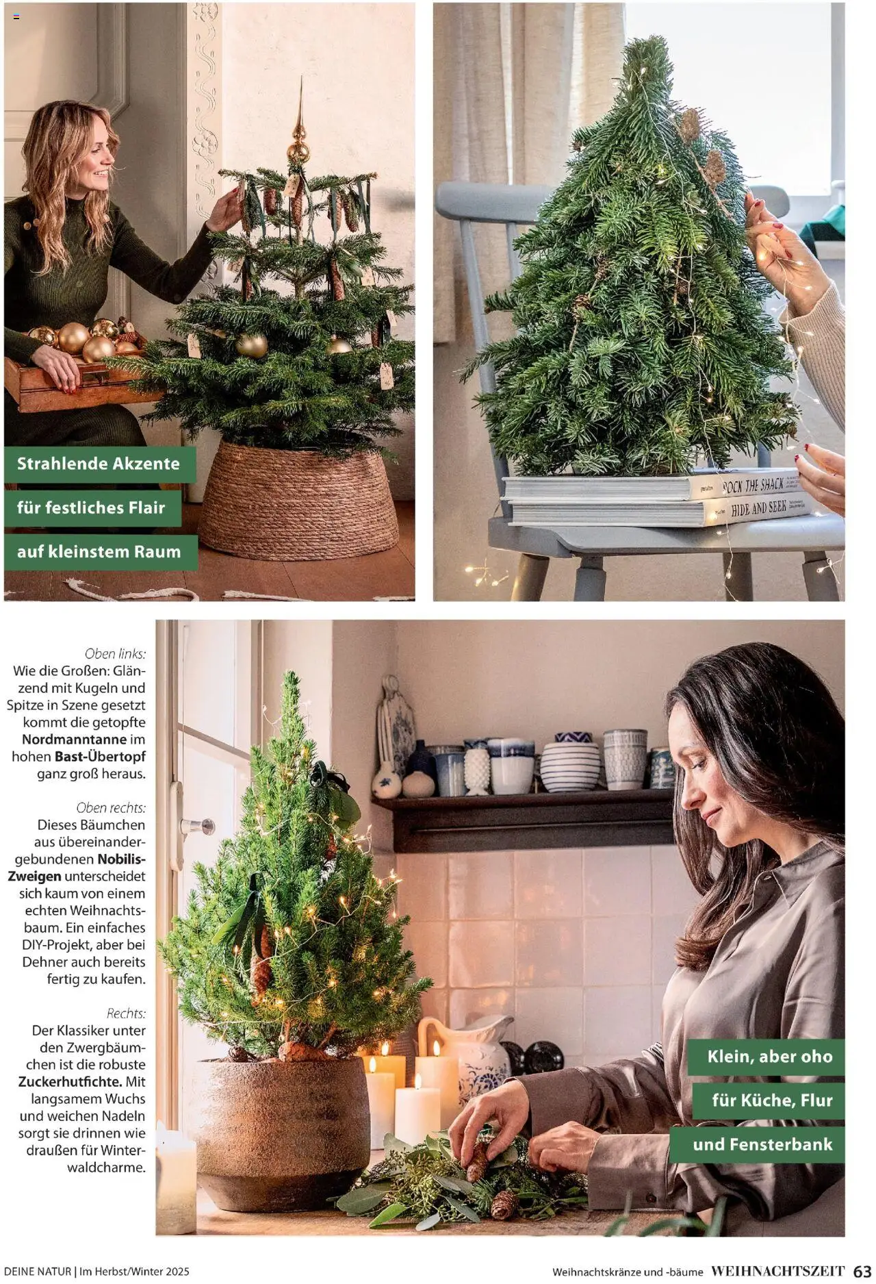 Dehner Prospekt Deine Natur – gültig ab 09.10.2025 | Seite: 63 | Produkte: Rock