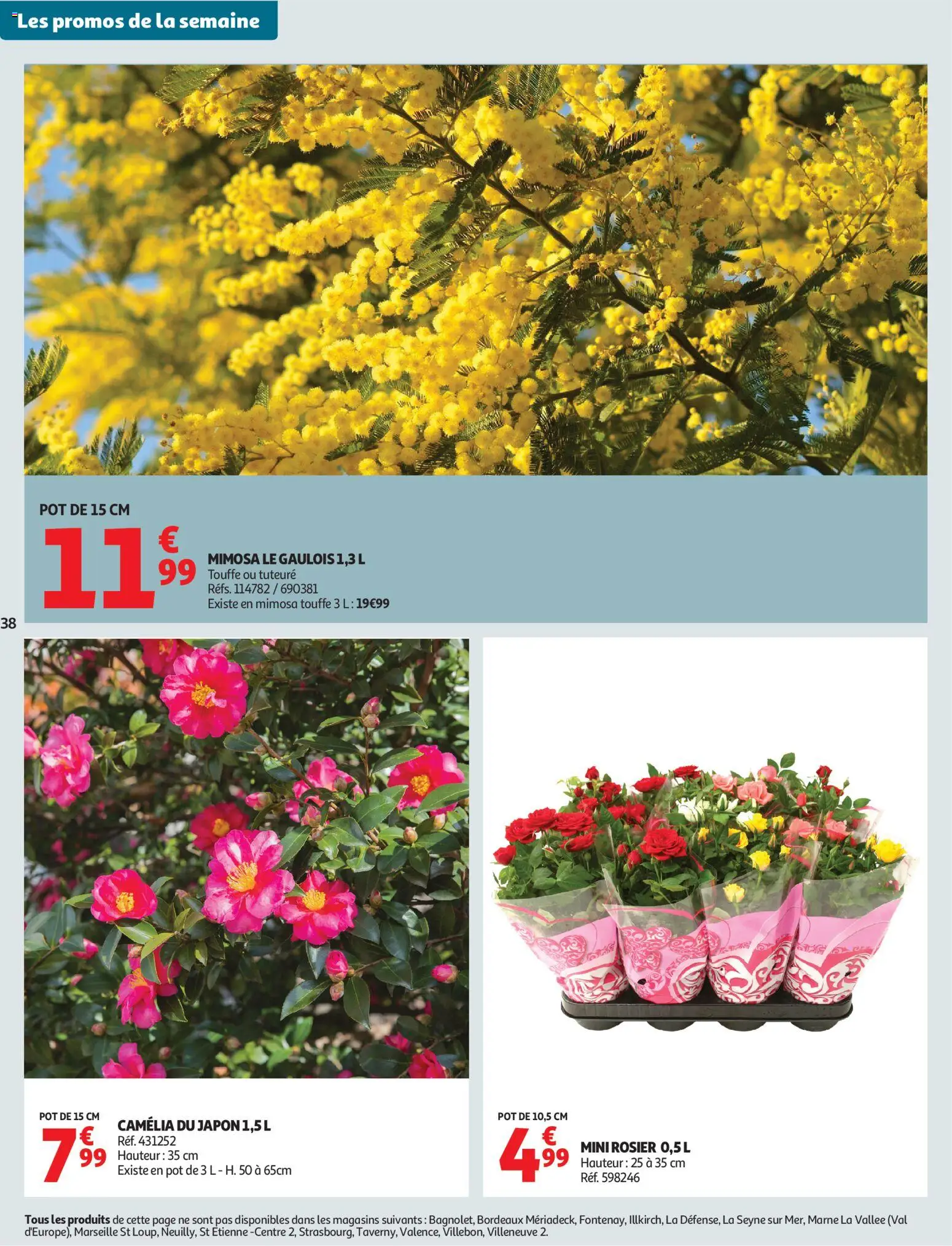 {H1} | Page: 40 | Produits: Camelia, Rosier, Mini rosier