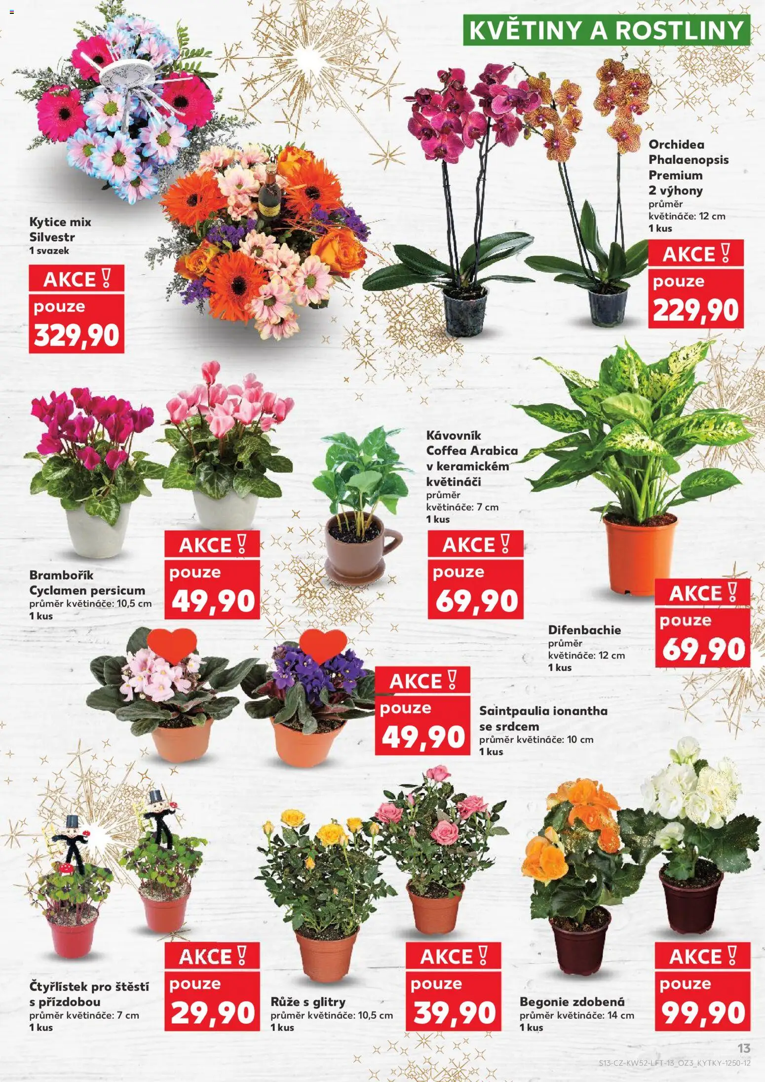 Kaufland leták - Plzeň od 27.12.2025 | Strana: 13 | Produkty: Květináče, Rostliny, Kytice, Květiny