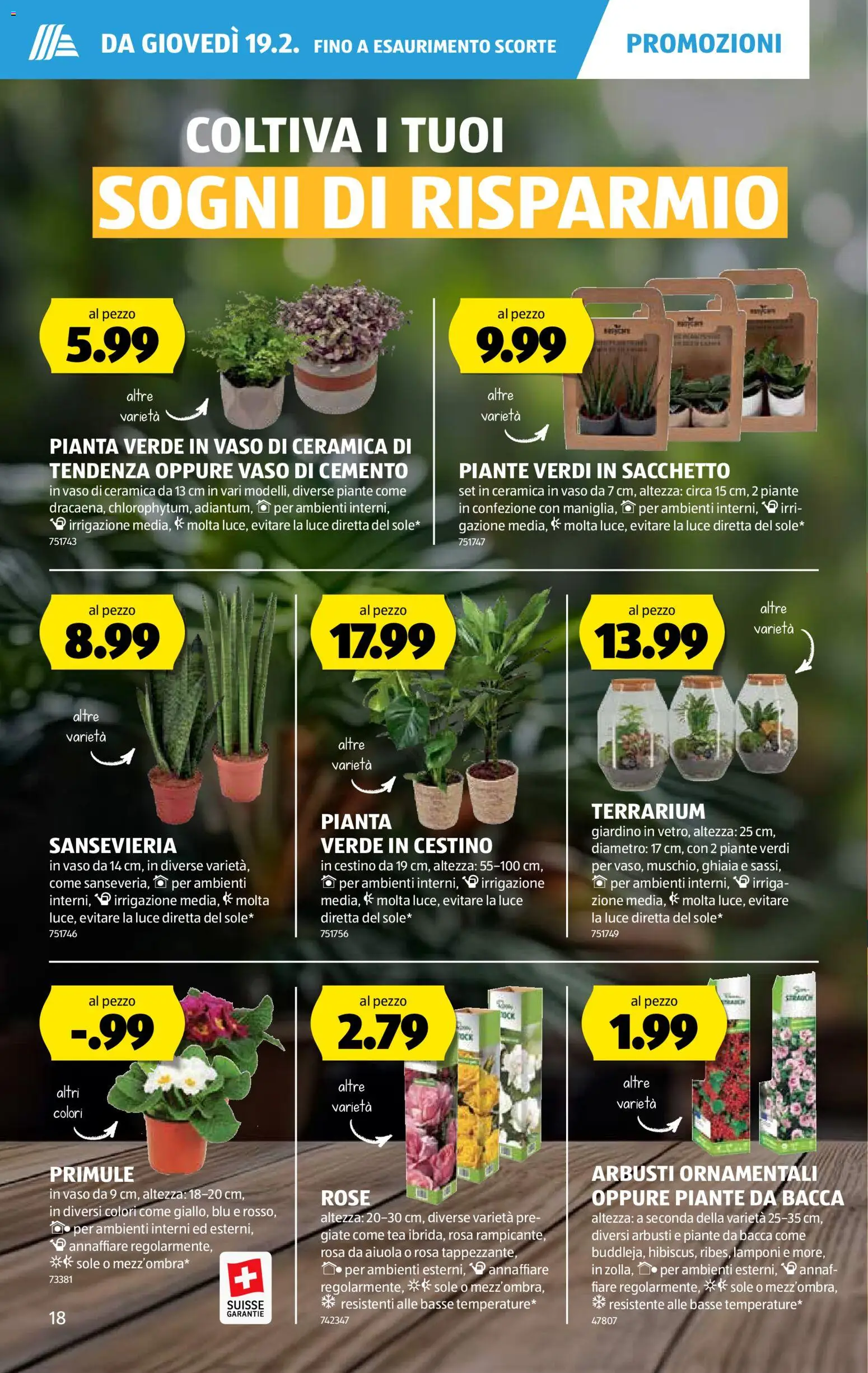 Aldi Aktionen IT – gültig ab 19.02.2026 | Seite: 19