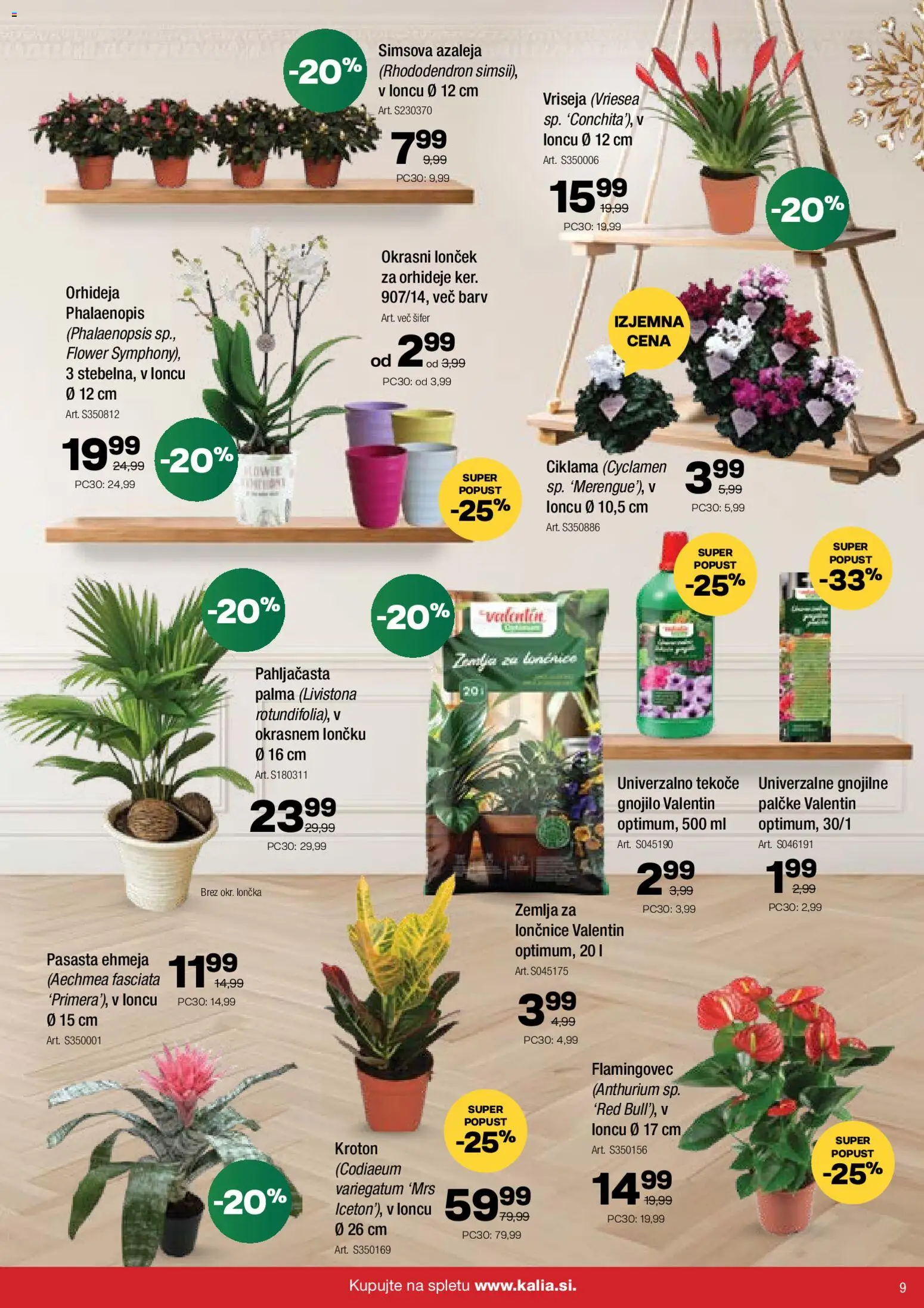 Novi Kalia katalog ponudbe – veljaven od 01.12.2025 | Stran: 9 | Izdelki: Žemlja, Lončnice, Okrasni loncek