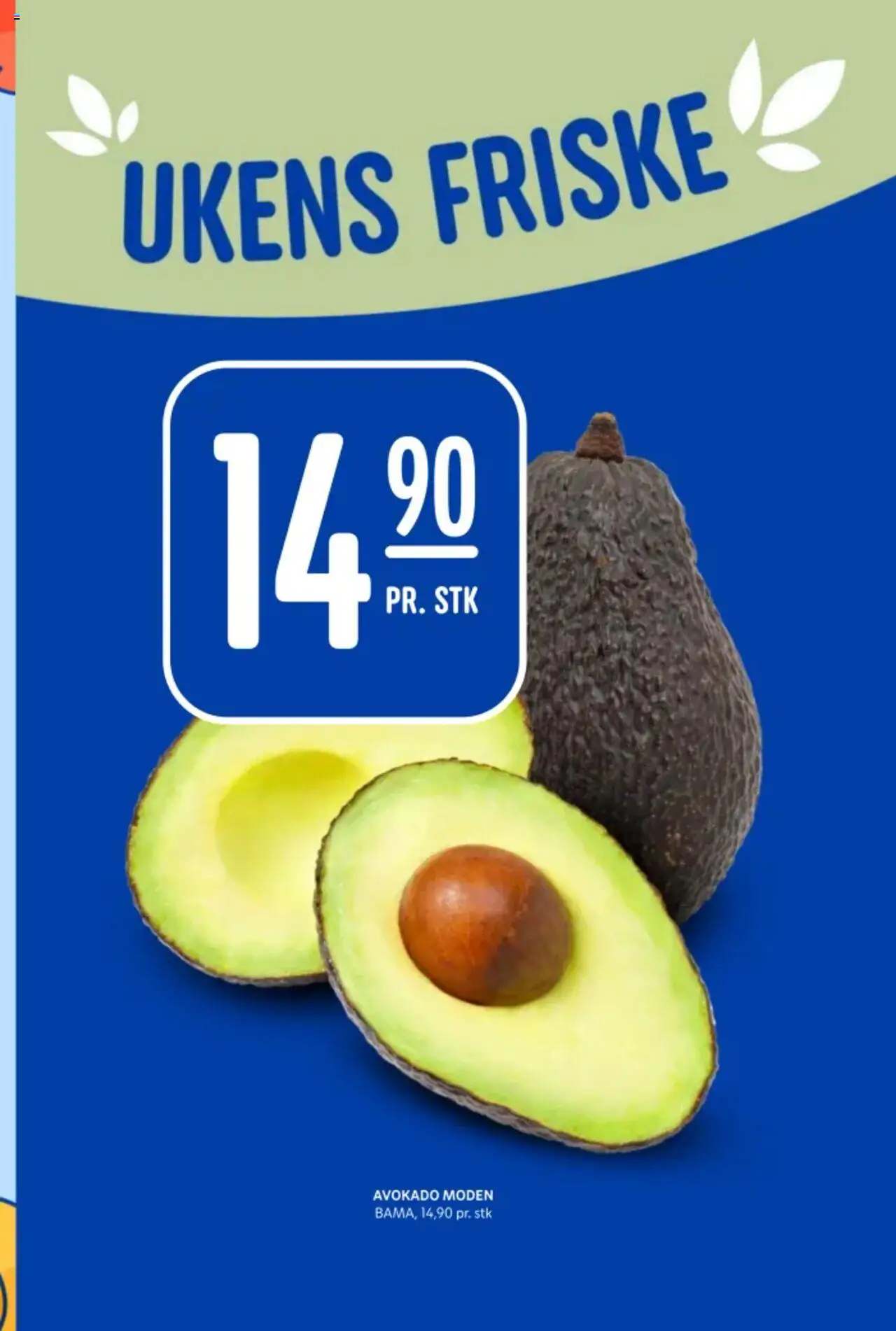  | Side: 9 | Produkter: Avokado