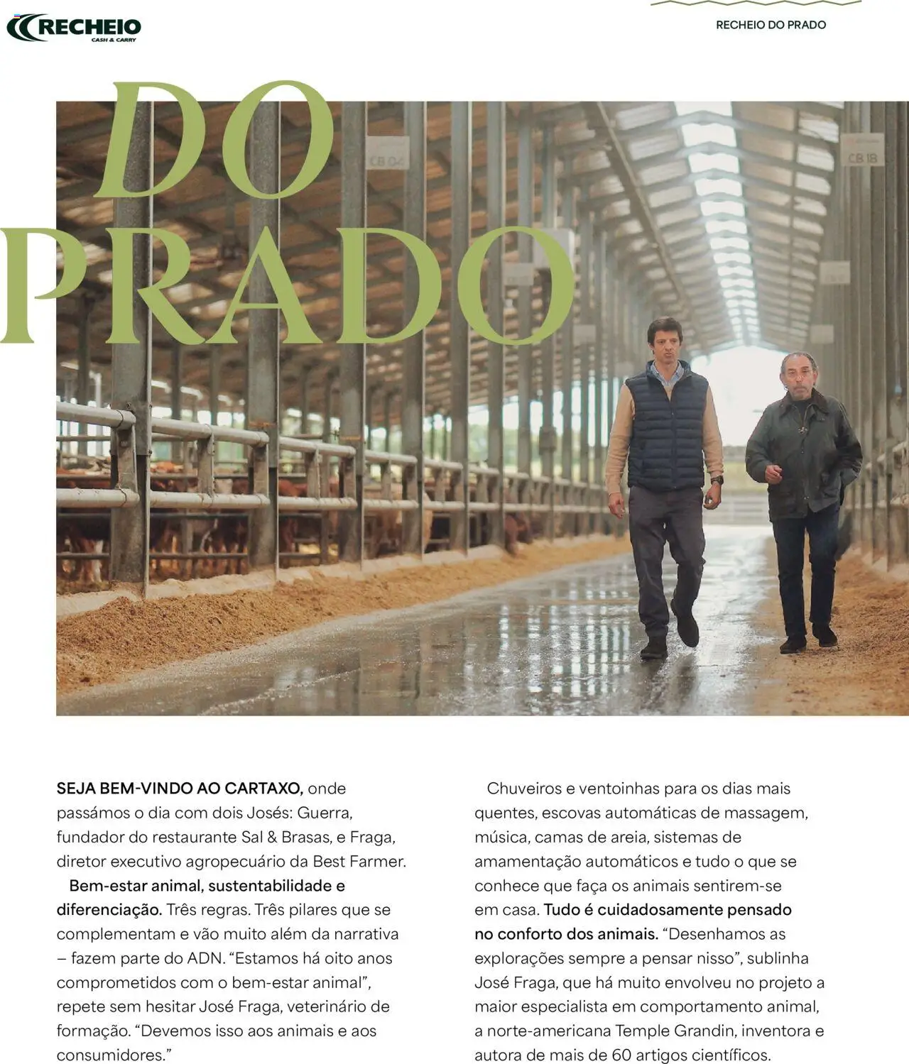 Recheio folheto │ válido de 24.04.2025 | Página: 8 | Produtos: Faca, Sal