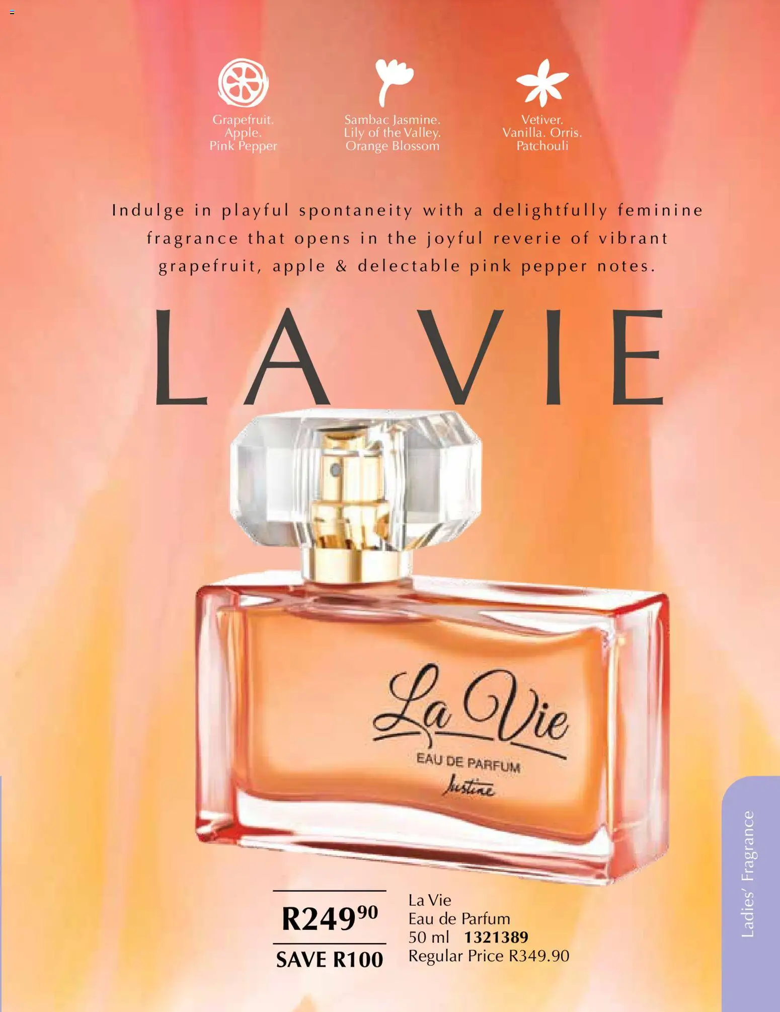 New Justine catalogue – valid from 01.01.2026 | Page: 49