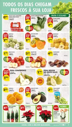 Pré-visualização TOMATE MINI ALONGADO AZURA PINGO DOCE, Tomate mini alongado, Emb. 250g válido de 04.11.2025 | Página: 13