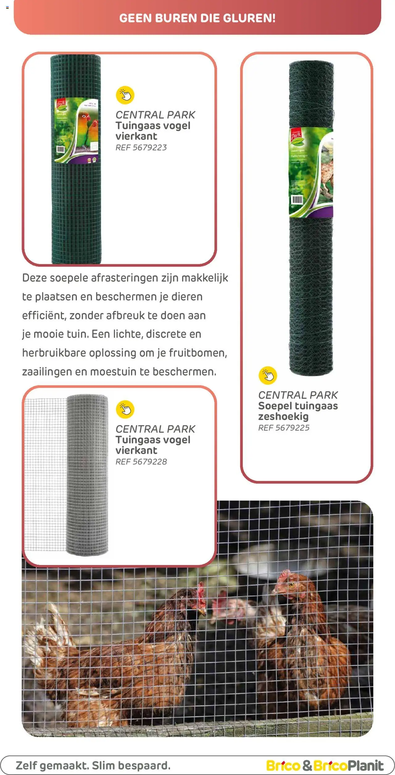  | Pagina: 117
