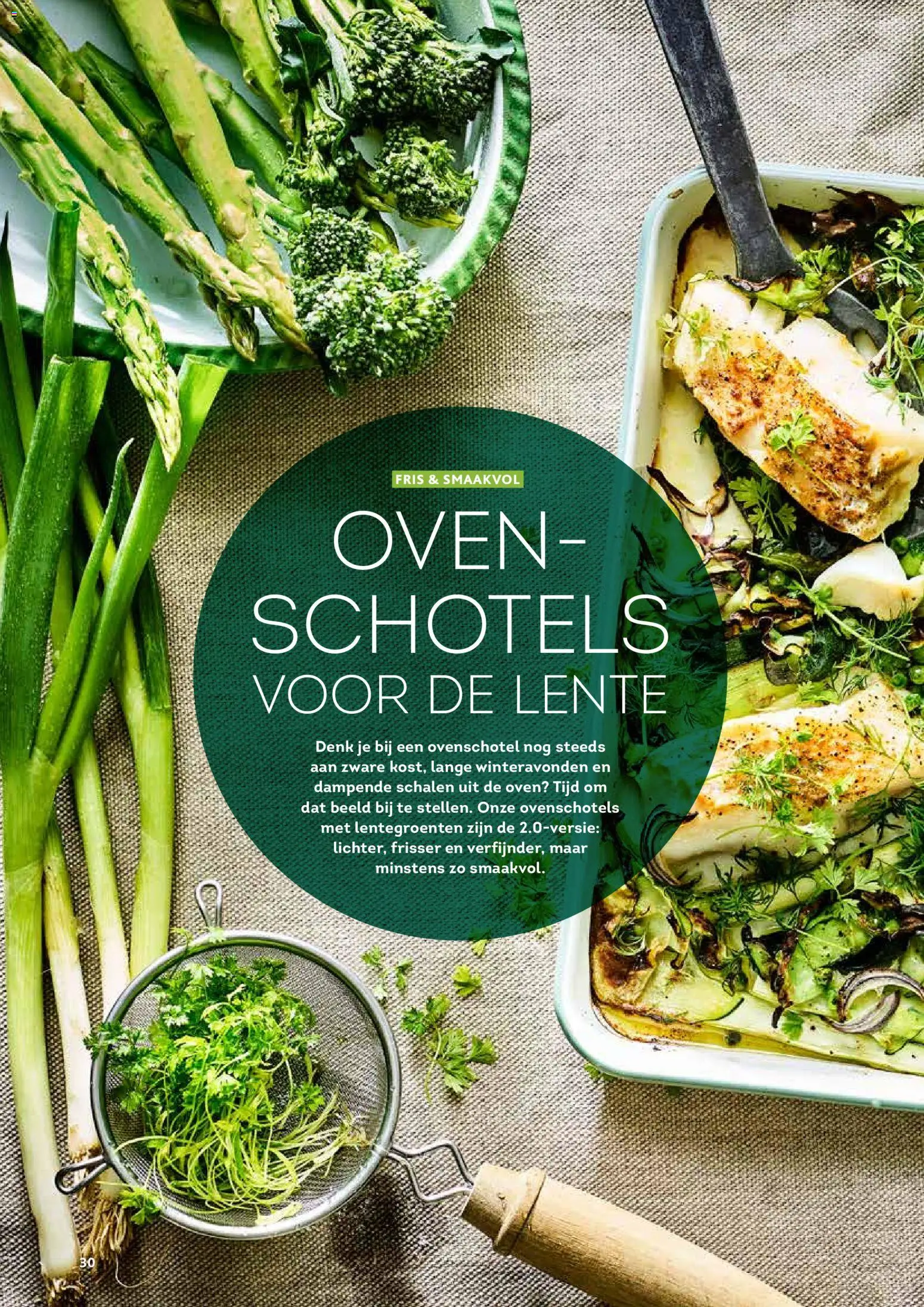 {H1} | Pagina: 30 | Producten: Oven, De oven