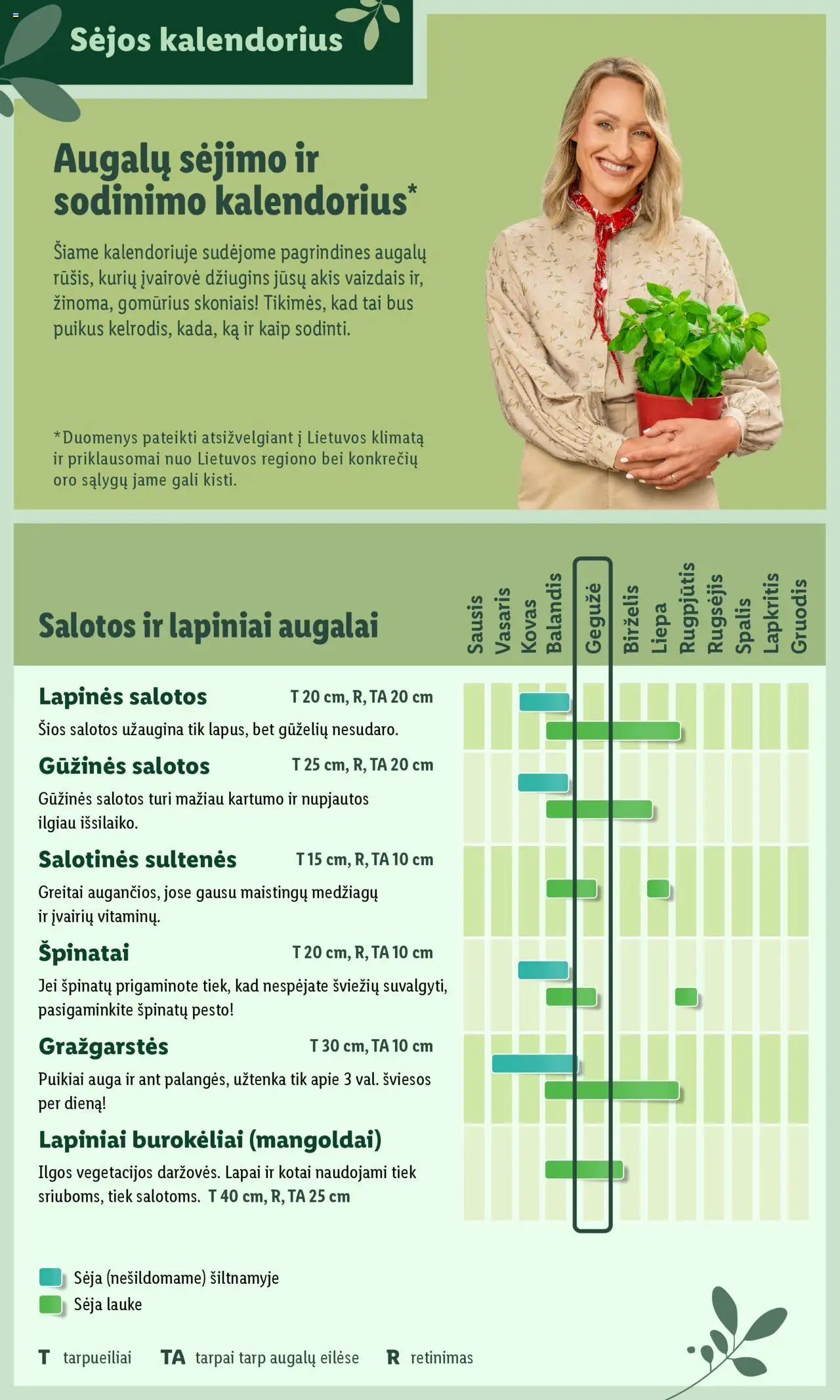 LIDL leidinys - Švenčiame sodą│galioja nuo 12.05.2025 | Puslapis: 4 | Prekių: Salotos