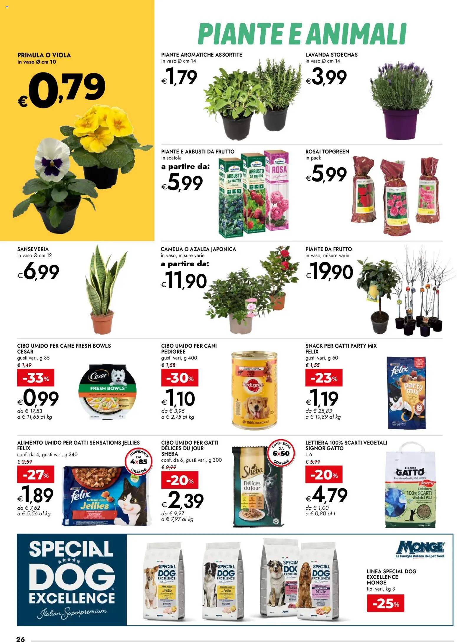 Volantino bennet del 12.02.2026 | Pagina: 26 | Prodotti: Pollo, Maiale, Lavanda, Scatola