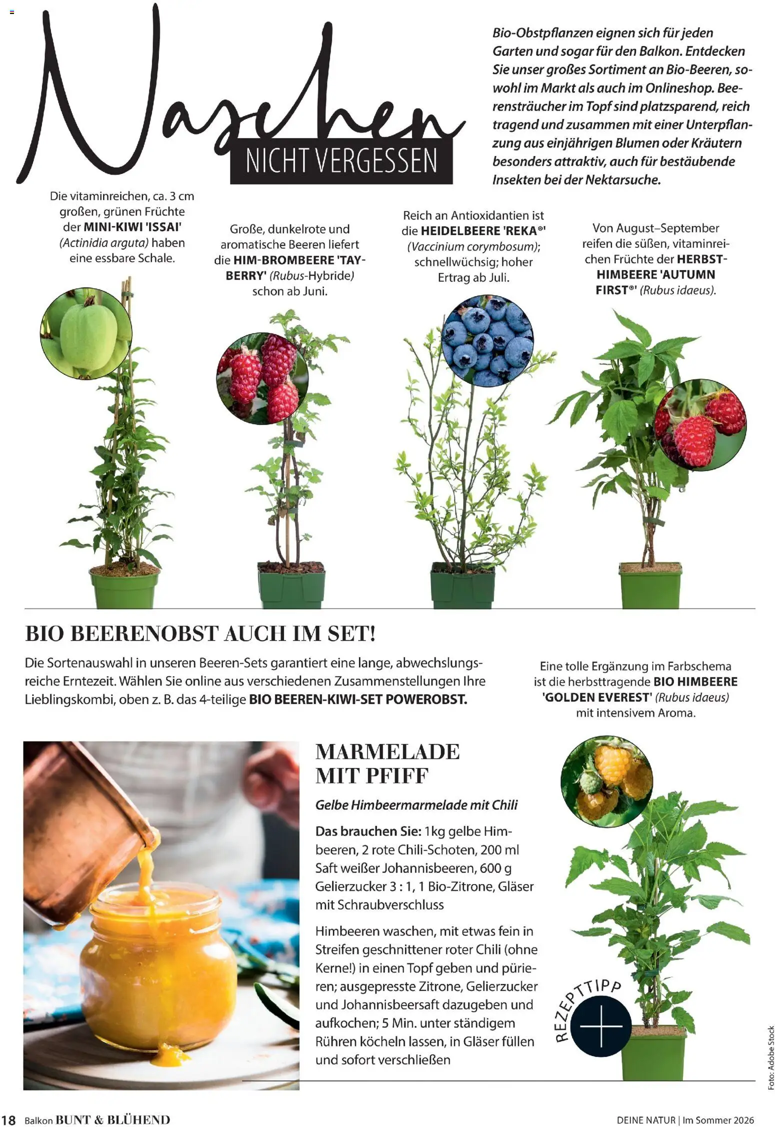 Dehner Prospekt 	 – gültig ab 17.04.2026 | Seite: 18 | Produkte: Himbeeren, Gelierzucker, Himbeere, Saft