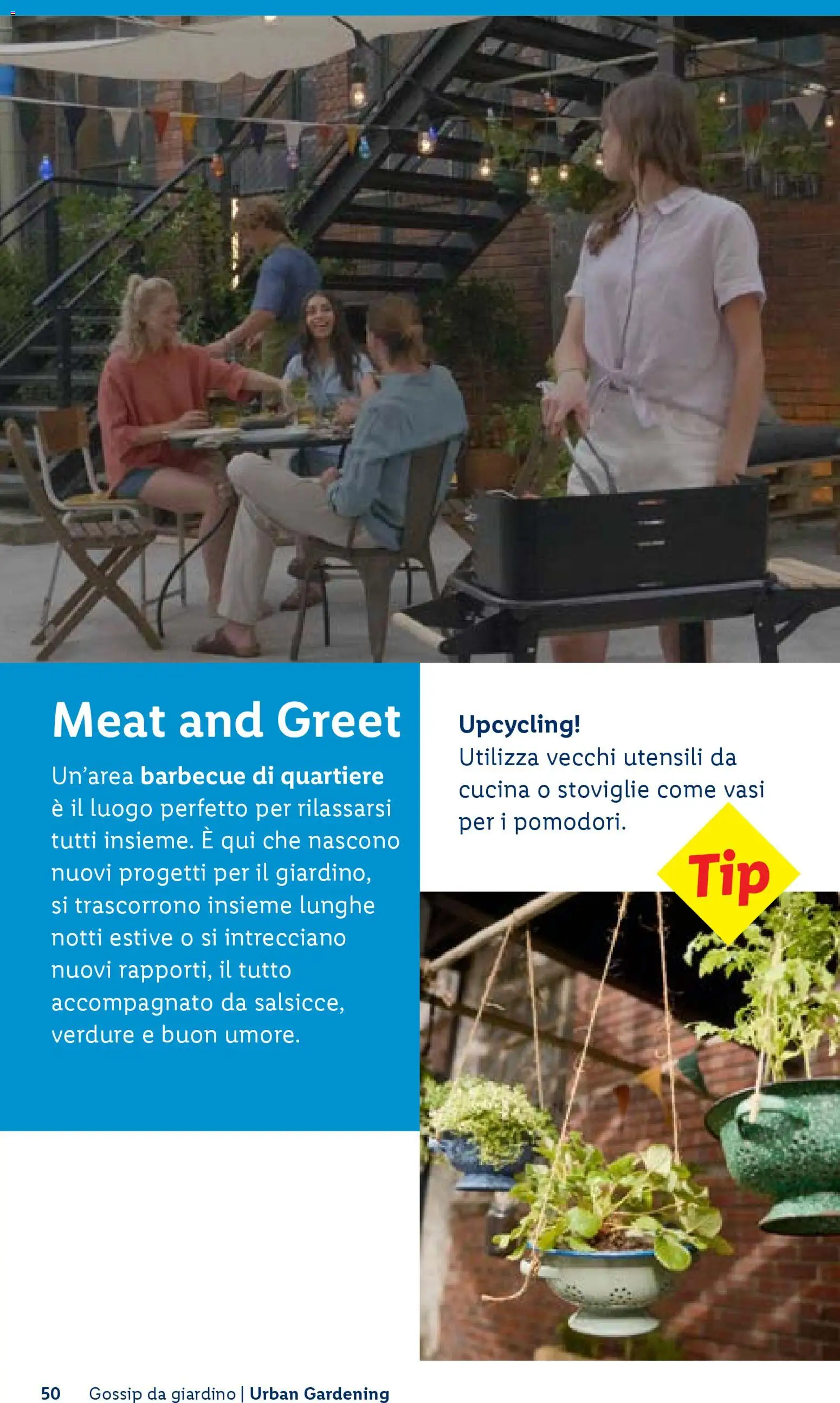 Volantino Lidl del 23.04.2026 | Pagina: 50 | Prodotti: Verdure, Barbecue