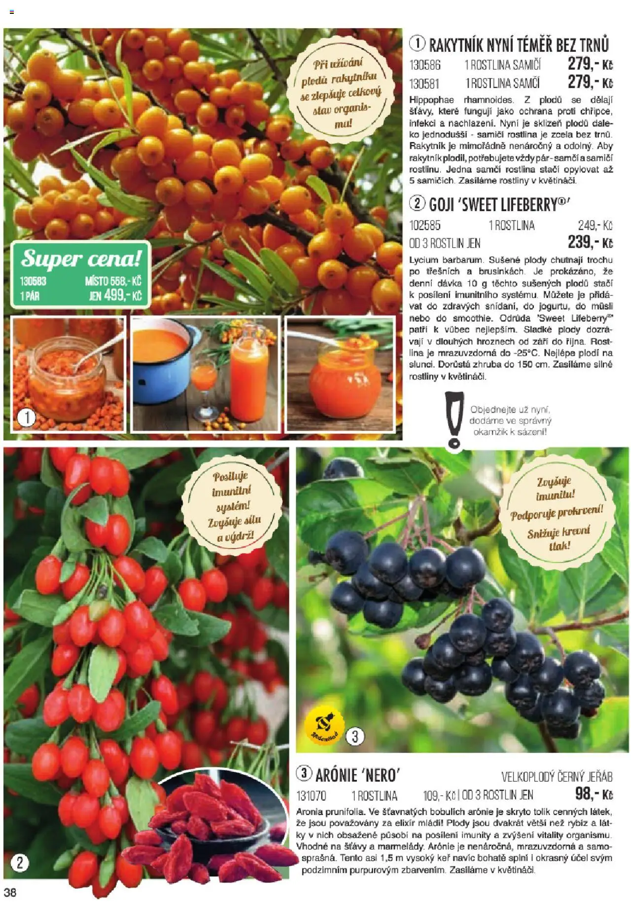 Starkl katalog jaro 2024 od 06.01.2025 | Strana: 38 | Produkty: Goji, Rostliny, Rošt, Müsli