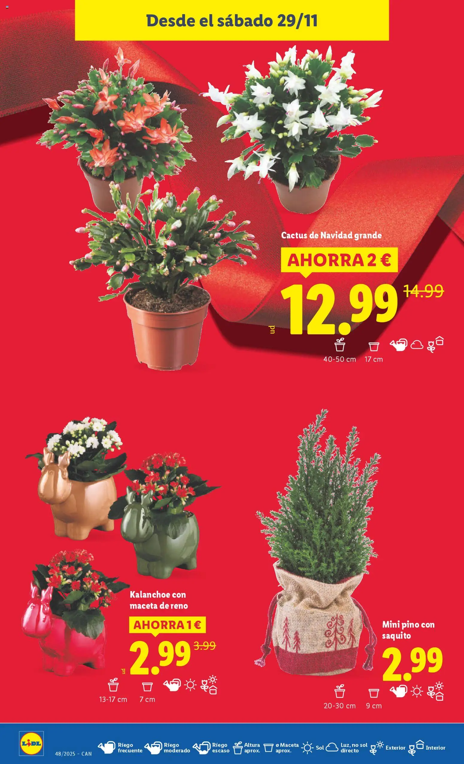 Lidl - Canarias  │ válido desde el 24.11.2025 | Página: 44 | Productos: Maceta