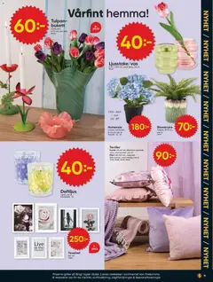 Dollar Store erbjudanden - Förhandsvisning av reklamblad från butik Dollar Store aktuell från 23.03.2026 | Sida: 11