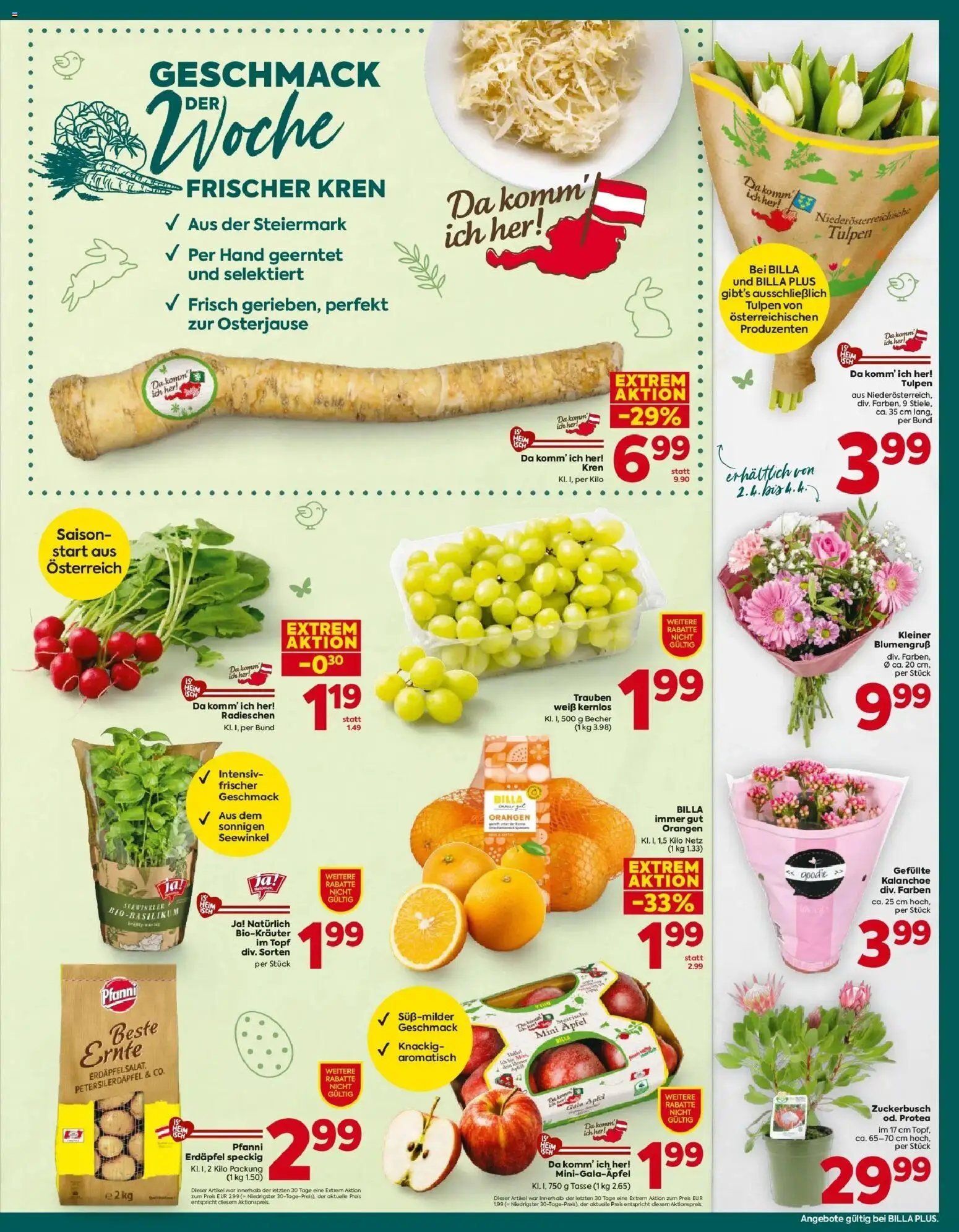 Billa Plus Flugblatt - Steiermark gültig ab 26.03.2026 | Seite: 15 | Produkte: Äpfel, Orangen