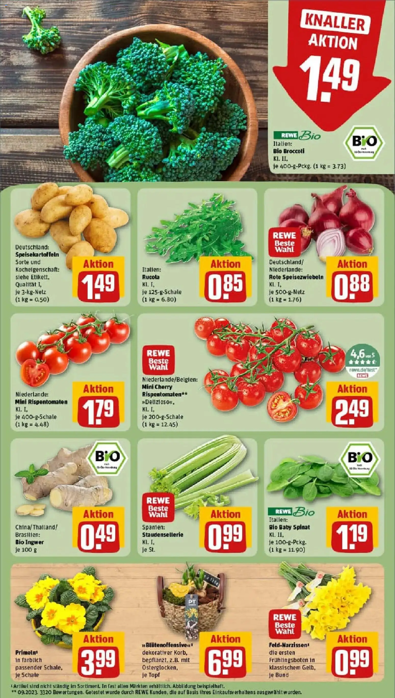 Rewe prospekt Berlin / Friedenau	 – gültig ab 26.01.2026 | Seite: 7 | Produkte: Rucola