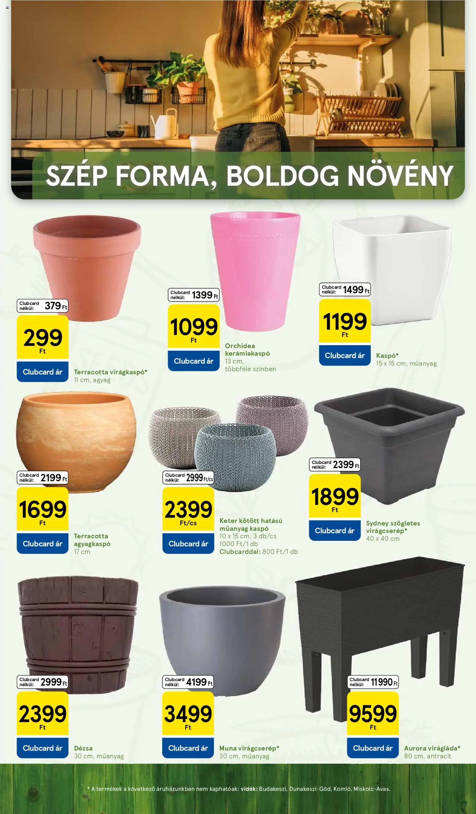 Tesco akciós ujság - amely érvényes a következő dátumtól: 04.03.2026 | Oldal: 9 | Termékek: Orchidea, Kaspó