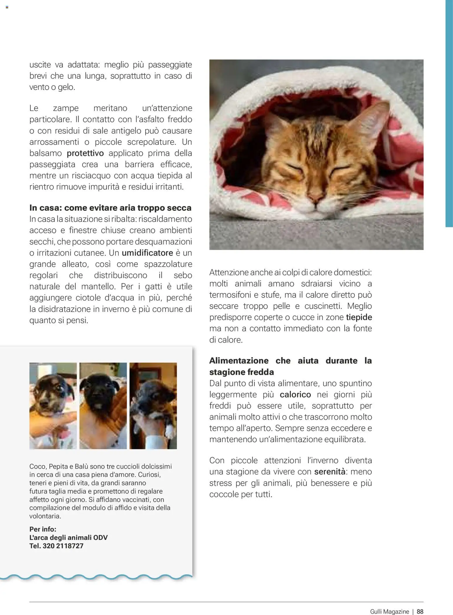 Volantino Gulliver del 01.01.2026 | Pagina: 88 | Prodotti: Balsamo, Acqua, Sale