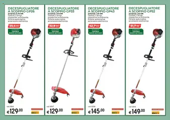 Anteprima del volantino Catalogo Macchine da giardino Brico OK	 valido a partire dal 03.03.2025 | Pagina: 4 | Prodotti: Decespugliatore, Disco