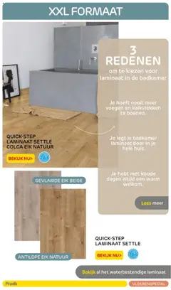 Praxis - Vloerenspecial - Voorbeeld van een folder van Praxis, geldig van 26.07.2023 | Pagina: 16