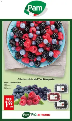 Anteprima del volantino PAM Sanremo catalogo valido a partire dal 07.08.2025