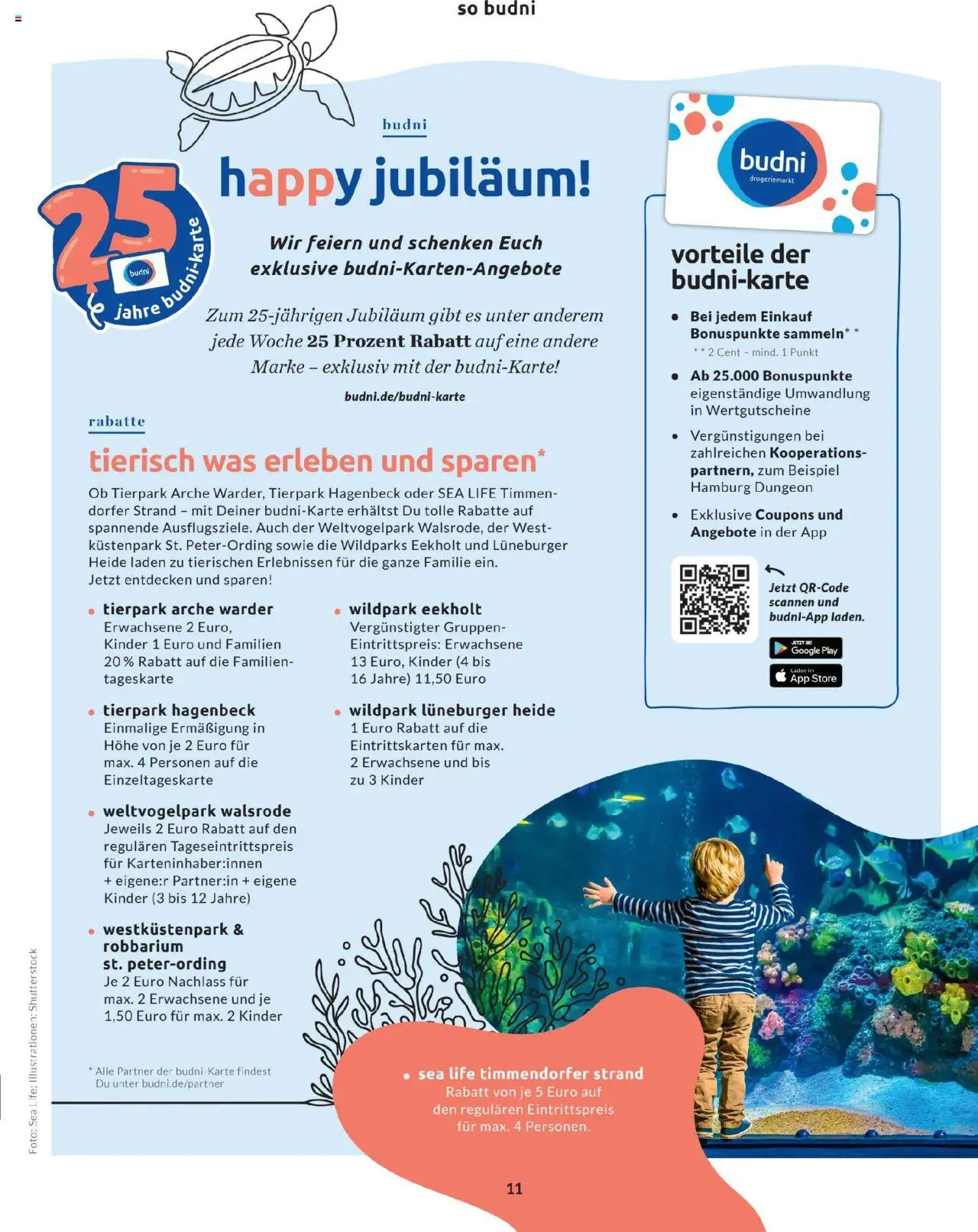 Budni Perle Magazin 04/25 - gültig ab dem 13.07.2025 | Seite: 11