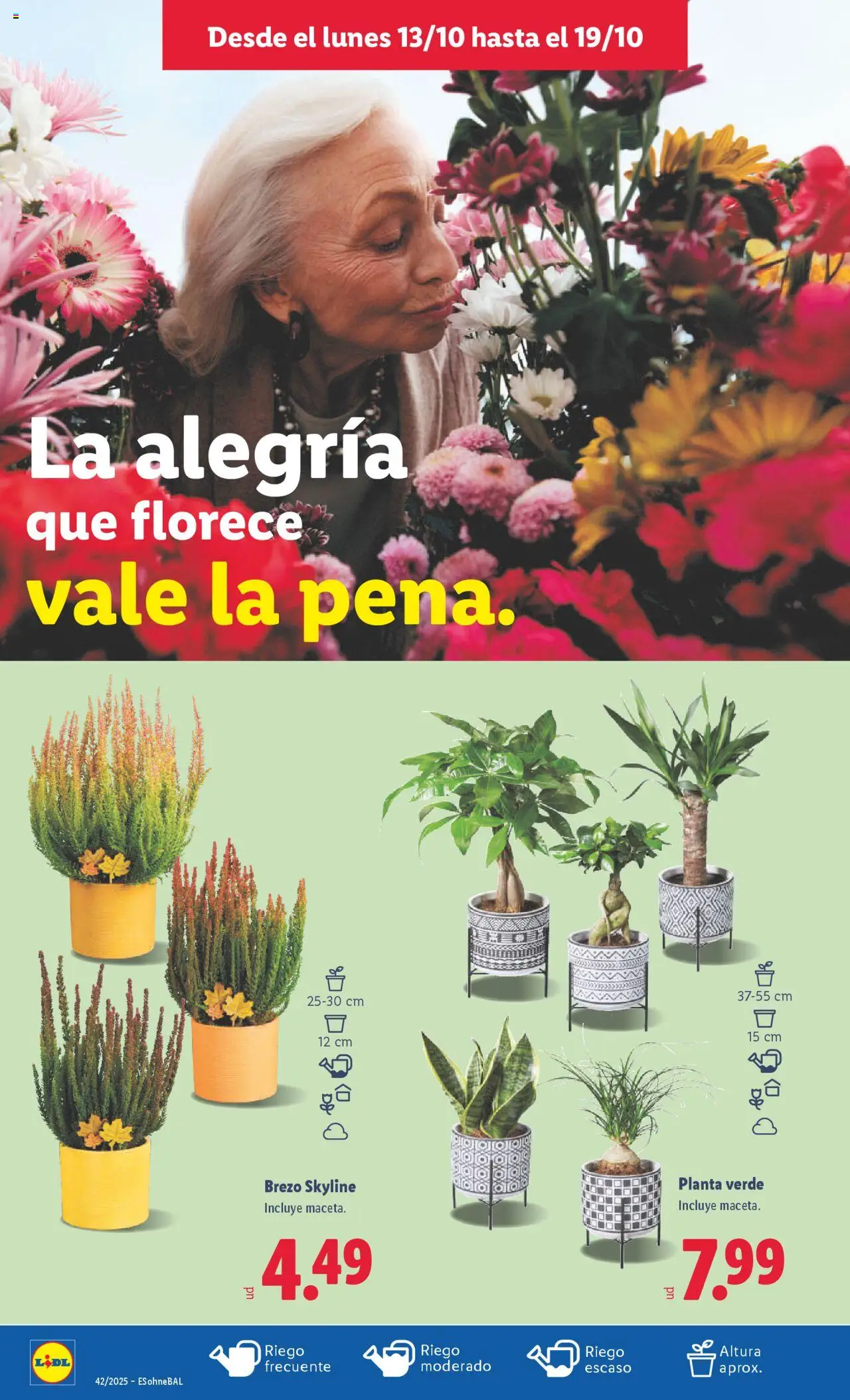 Lidl catálogo BCN │ válido desde el 13.10.2025 | Página: 46