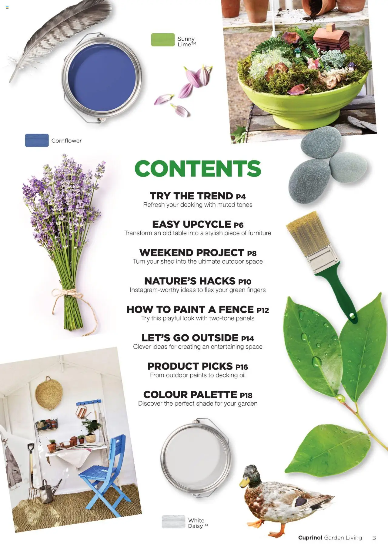  | Page: 3 | Products: Table, Paint, Oil, Decking oil