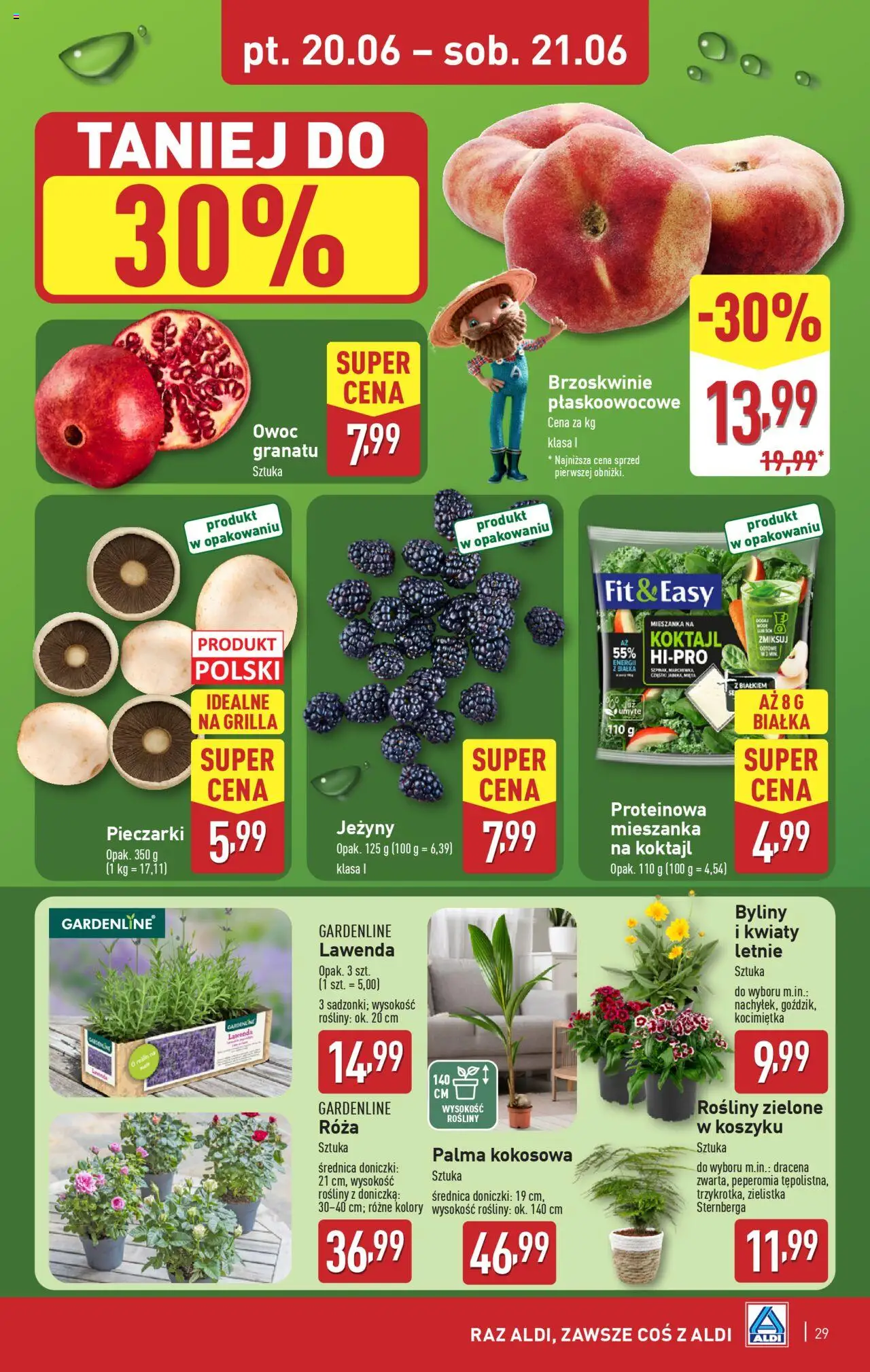 Aldi Gazetka od 16.06.2025 | Strona: 29 | Produkty: Jeżyny, Doniczka, Brzoskwinie, Kwiaty