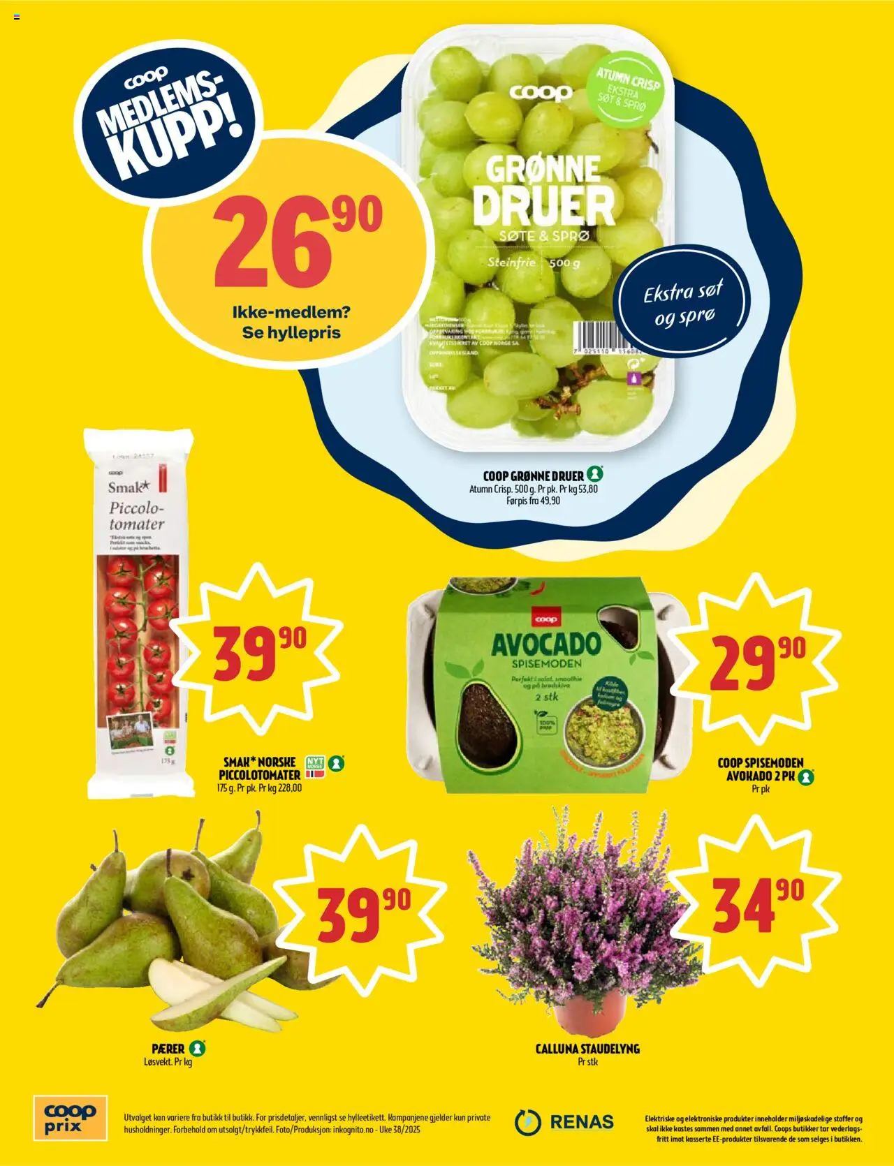  | Side: 8 | Produkter: Tomater, Druer, Avokado, Павільйон