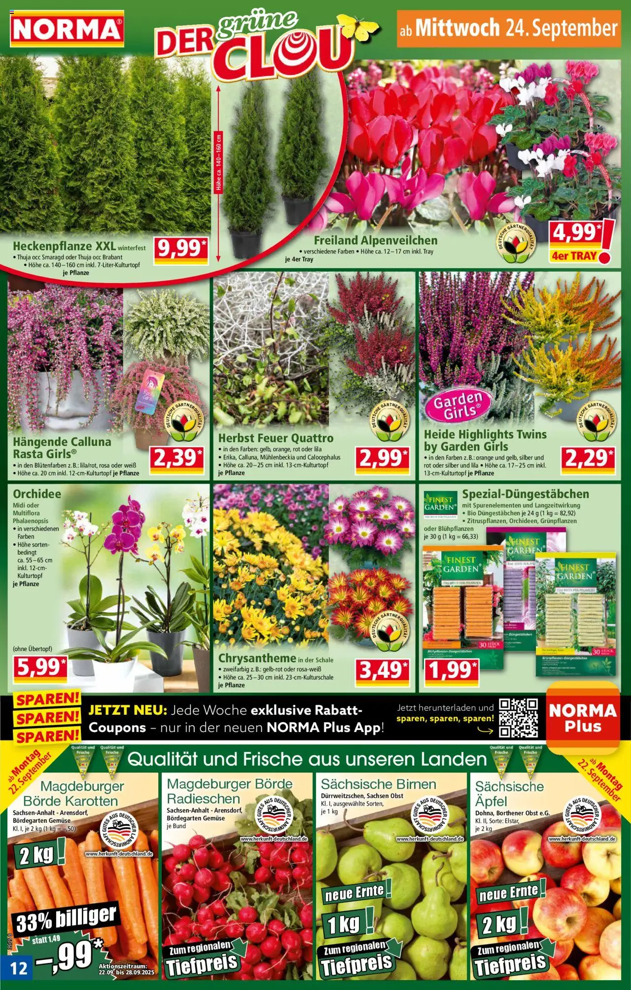 Norma Prospekt 	 – gültig ab 22.09.2025 | Seite: 13 | Produkte: Orchidee, Äpfel, Gemüse, Obst