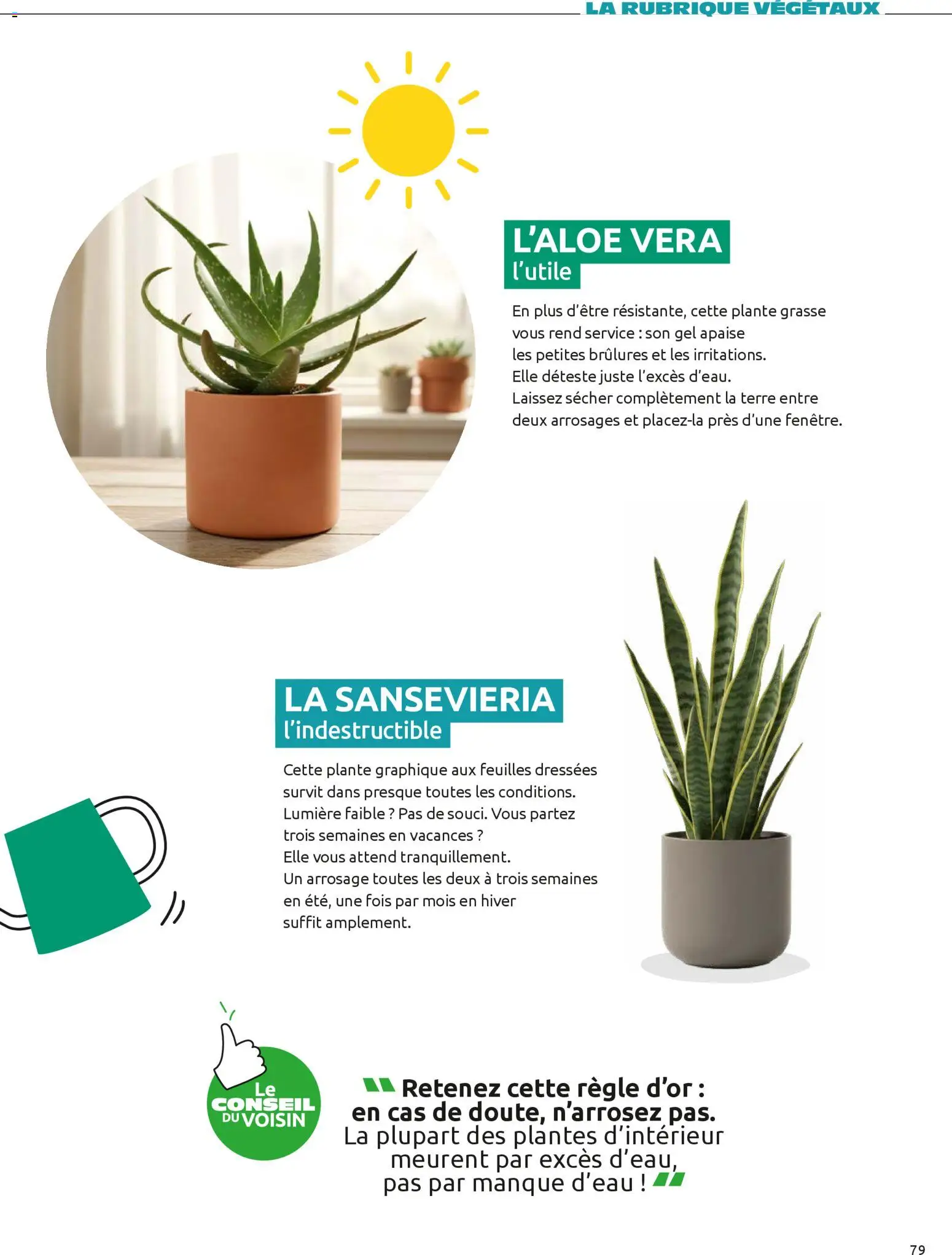 {H1} | Page: 79 | Produits: Règle, Plantes