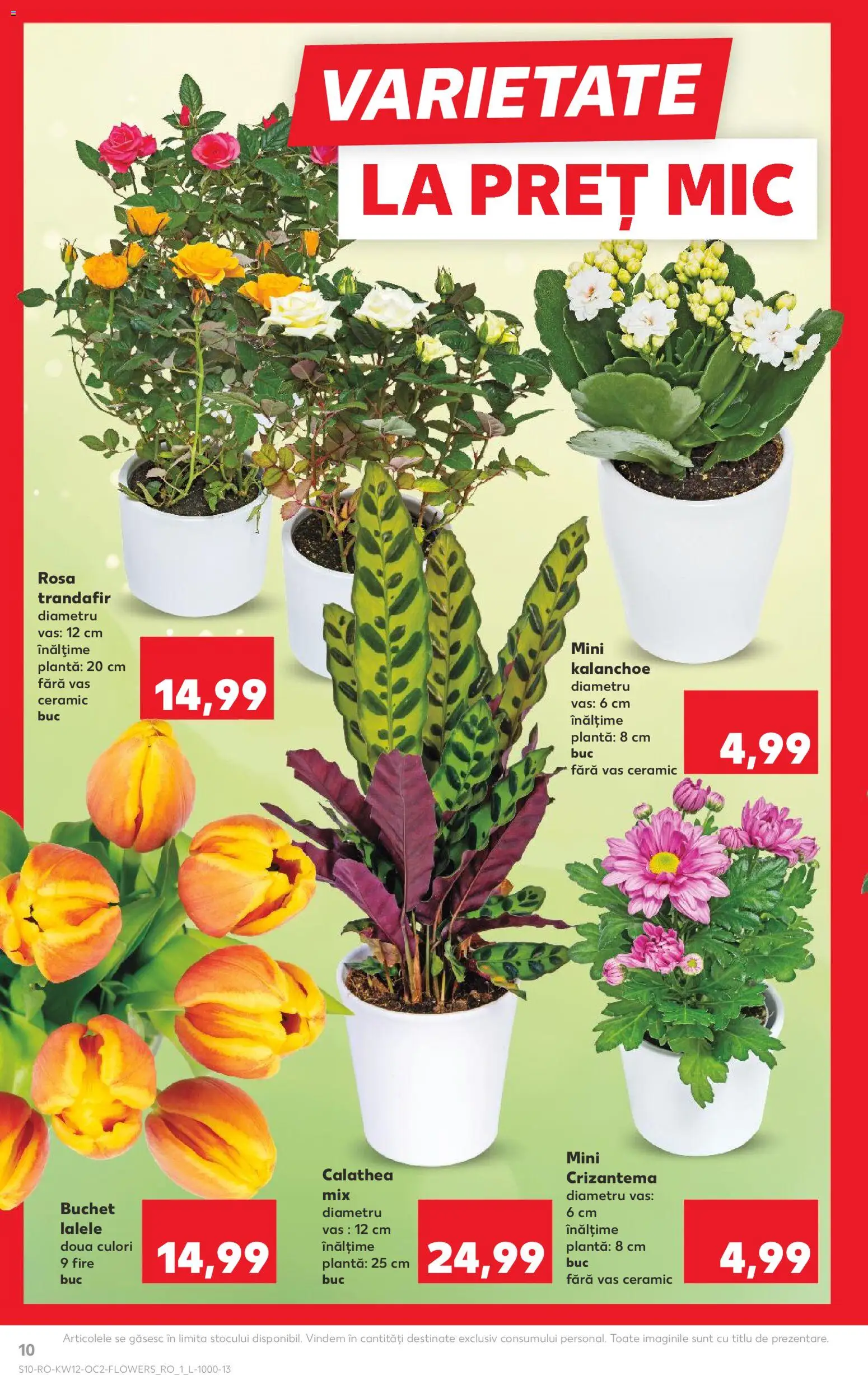 Noul catalog Kaufland – valabil de la 18.03.2026 | Pagină: 10 | Produse: Trandafir