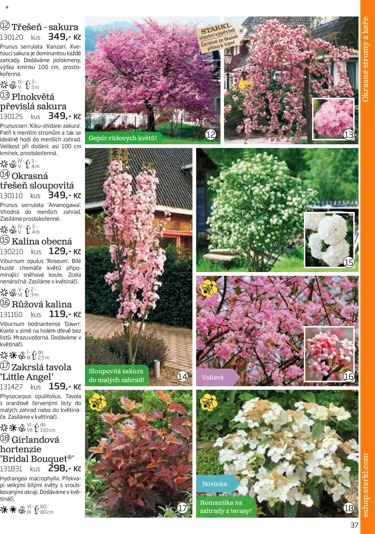 Starkl katalog podzim 2025 od 01.08.2025 | Strana: 37