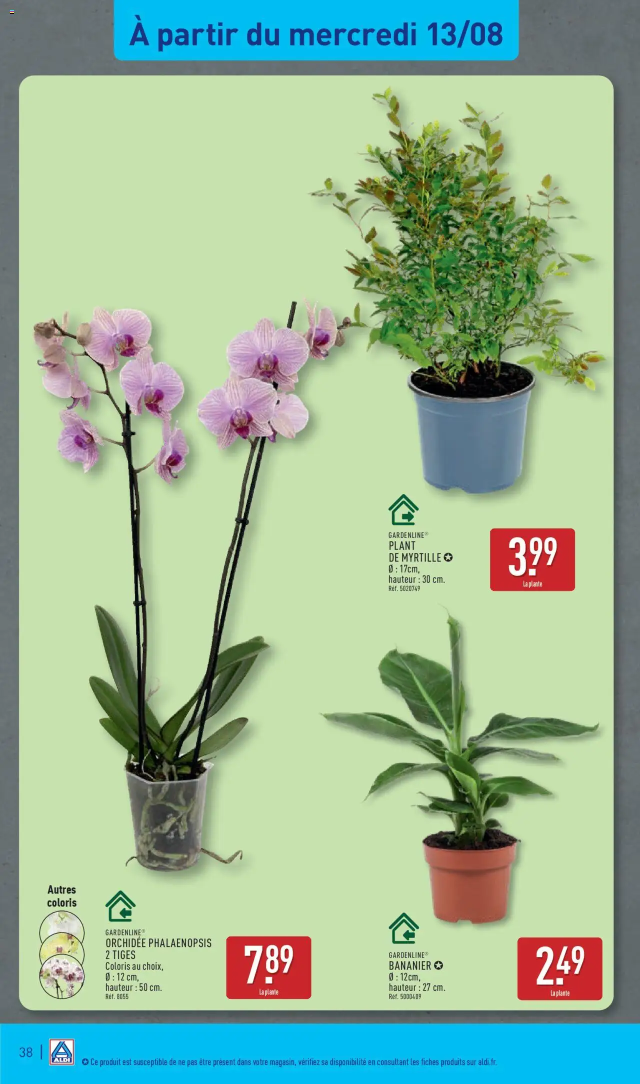  | Page: 40 | Produits: Bananier, Orchidée