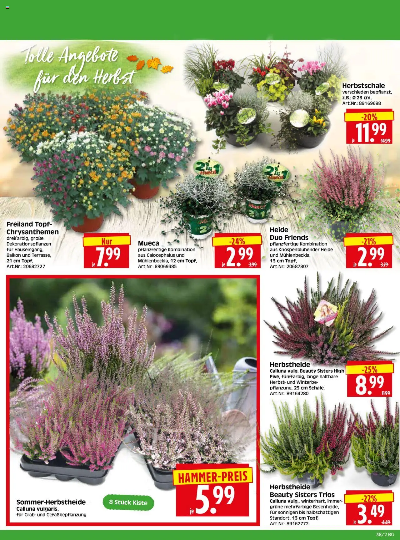 HERKULES - Bau & Garten – gültig ab 15.09.2025 | Seite: 2